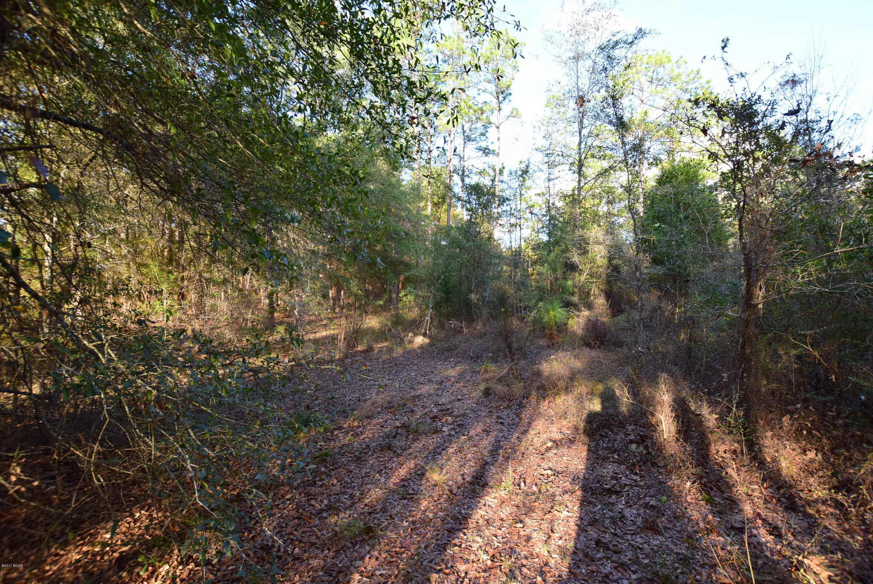 Dogwood Lake Estates - Land