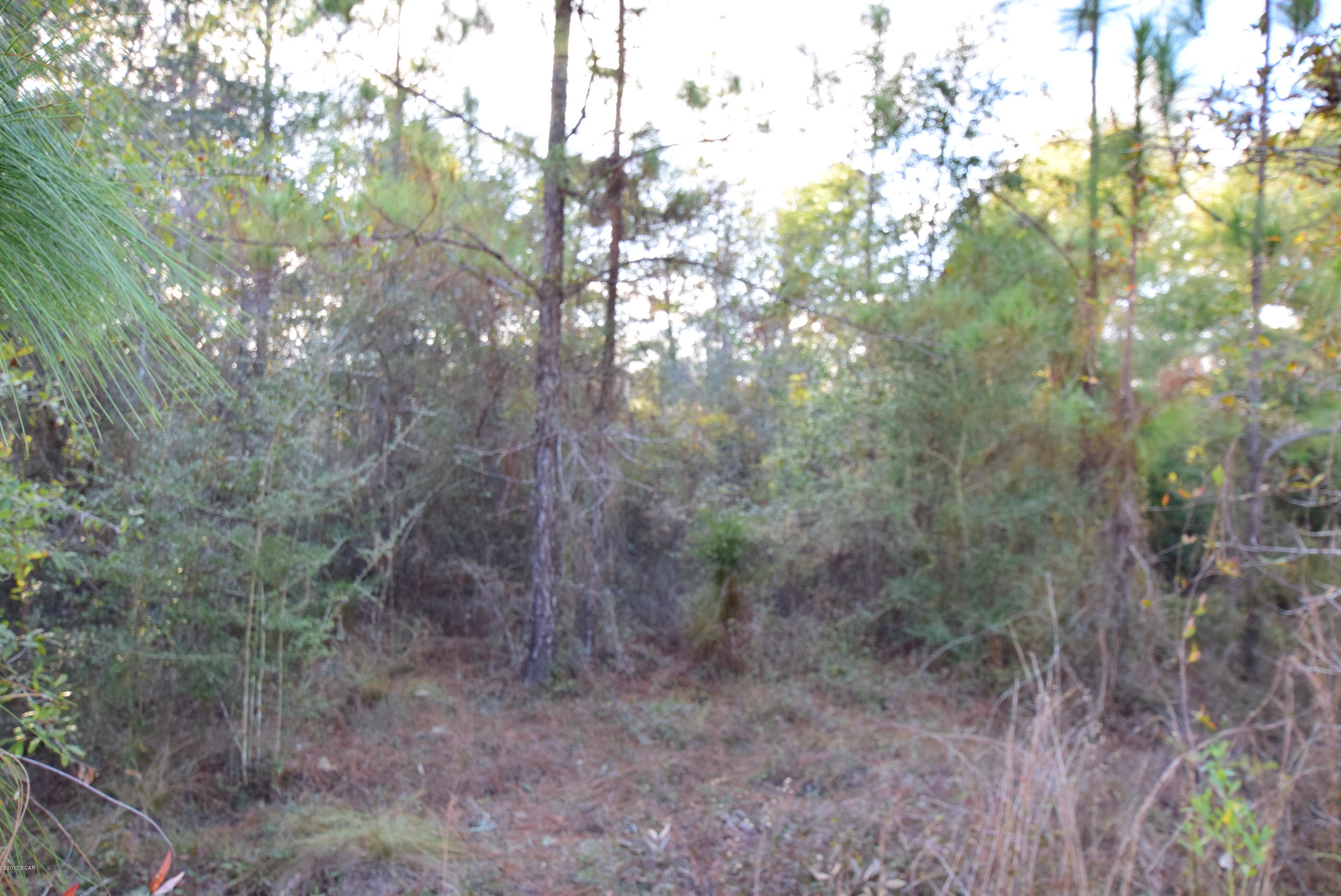 Dogwood Lake Estates - Land