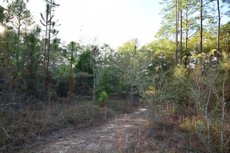 Golf Course lot!! Sitting on the fairway.  Great golf course.  Two lakes for fishing.  Owner financing available.