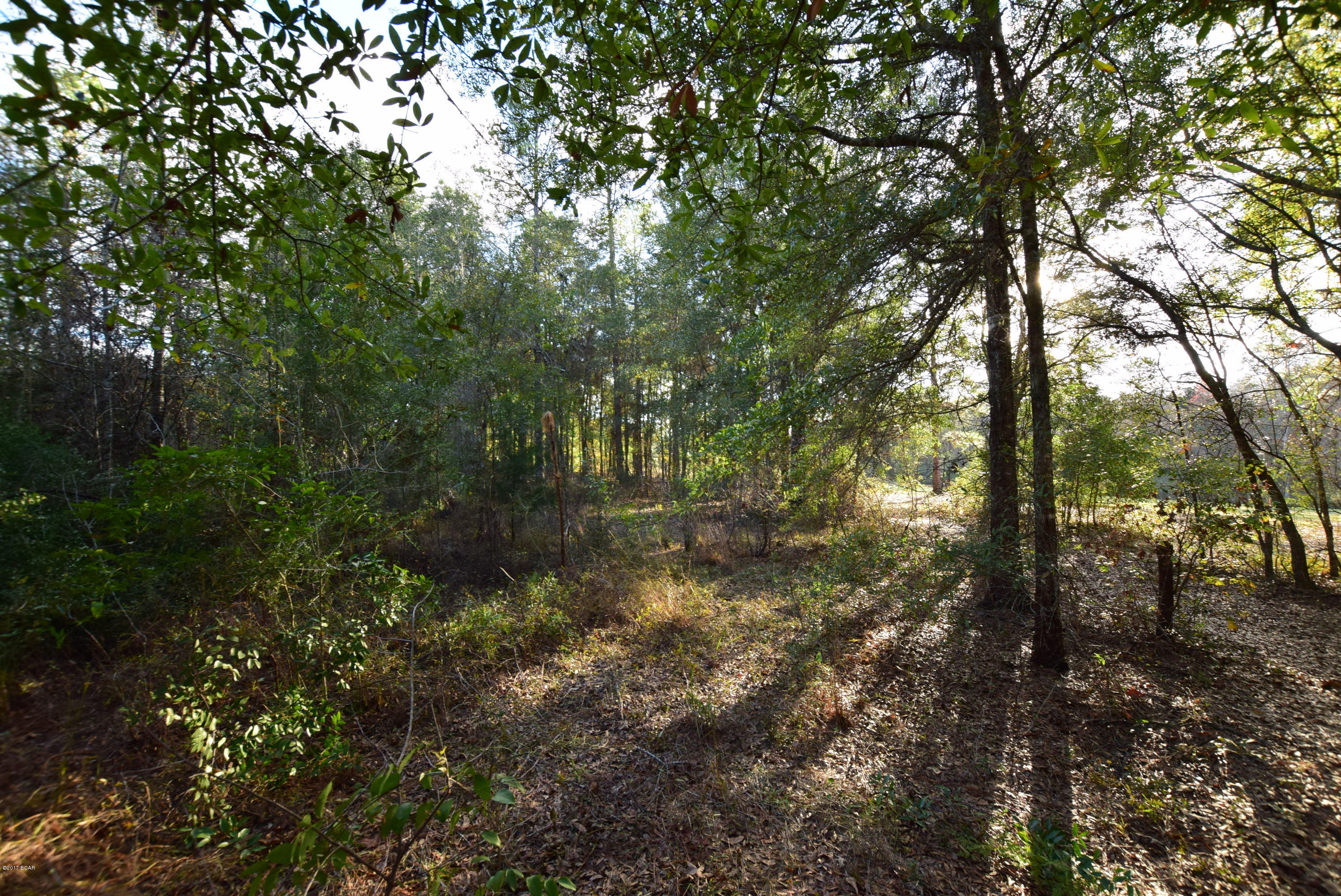 Dogwood Lake Estates - Land
