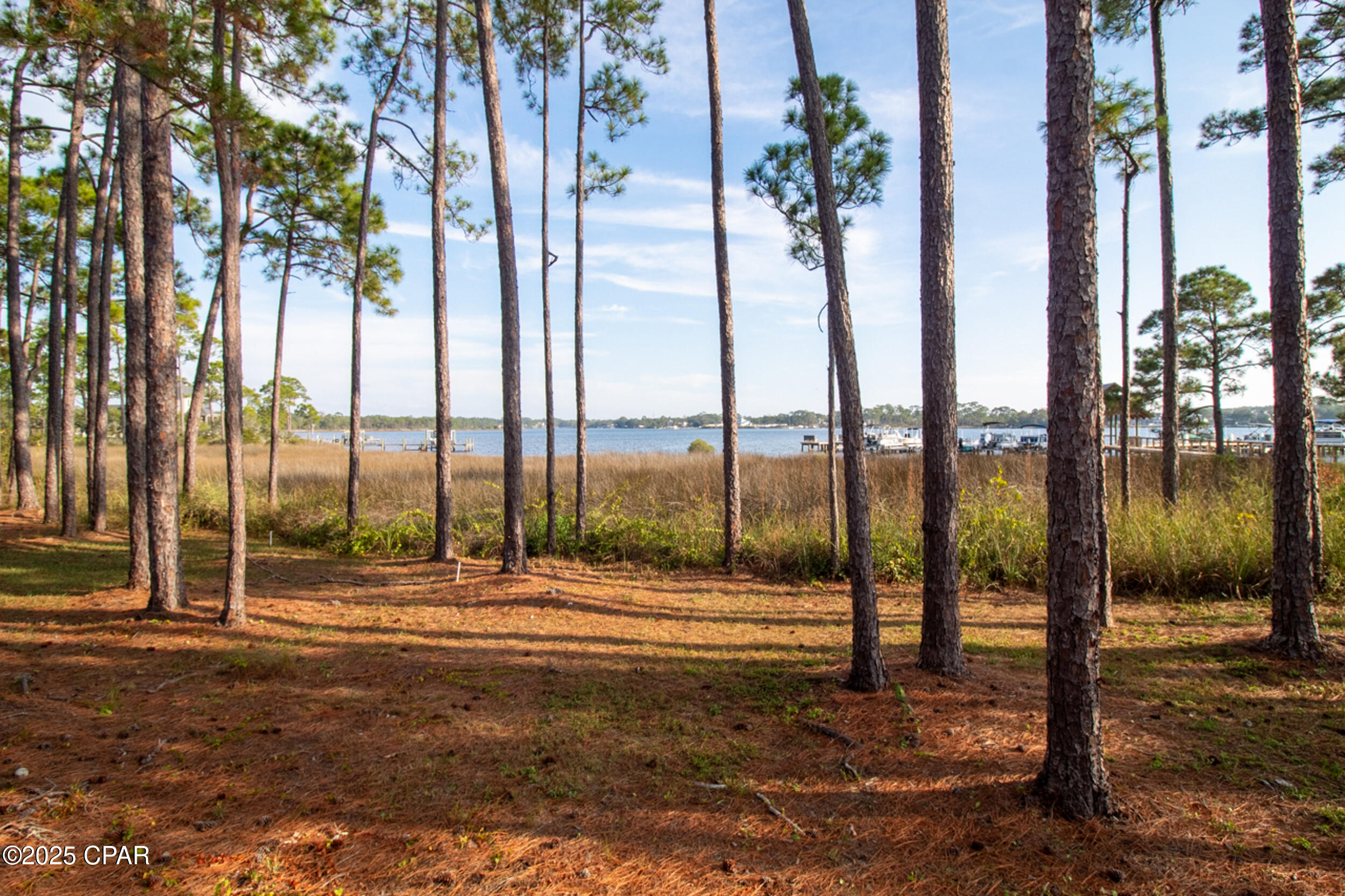 Lakeside Lodge At Prospect Pt - Residential