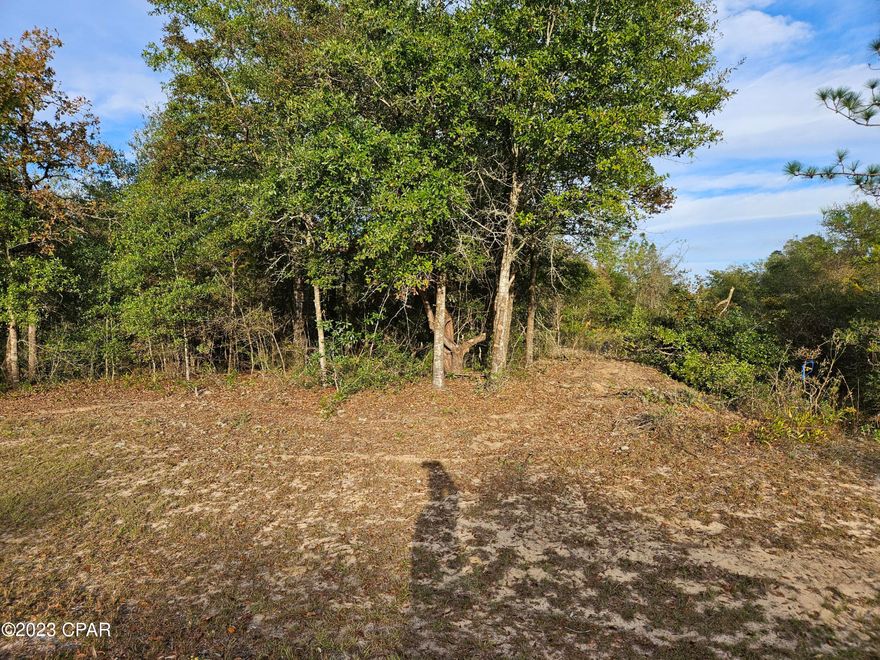 'CURRENTLY UNDER CONTRACT, SELLER WILL CONSIDER BACKUP OFFERS' This flat lot on Country Club Boulevard is very close to Gap Pond public boat ramp and about a mile from the Sunny Hills Country Club Golf Course. It is one of three side-by-side lots. One could be purchased, two or all three together. Subdivision amenities include a library, Open Lake recreation lake that has public restrooms, picnic tables, white sand beach, some playground equipment and more. See MLS 749431 and MLS 749430 and additional photos at MLS 749430.