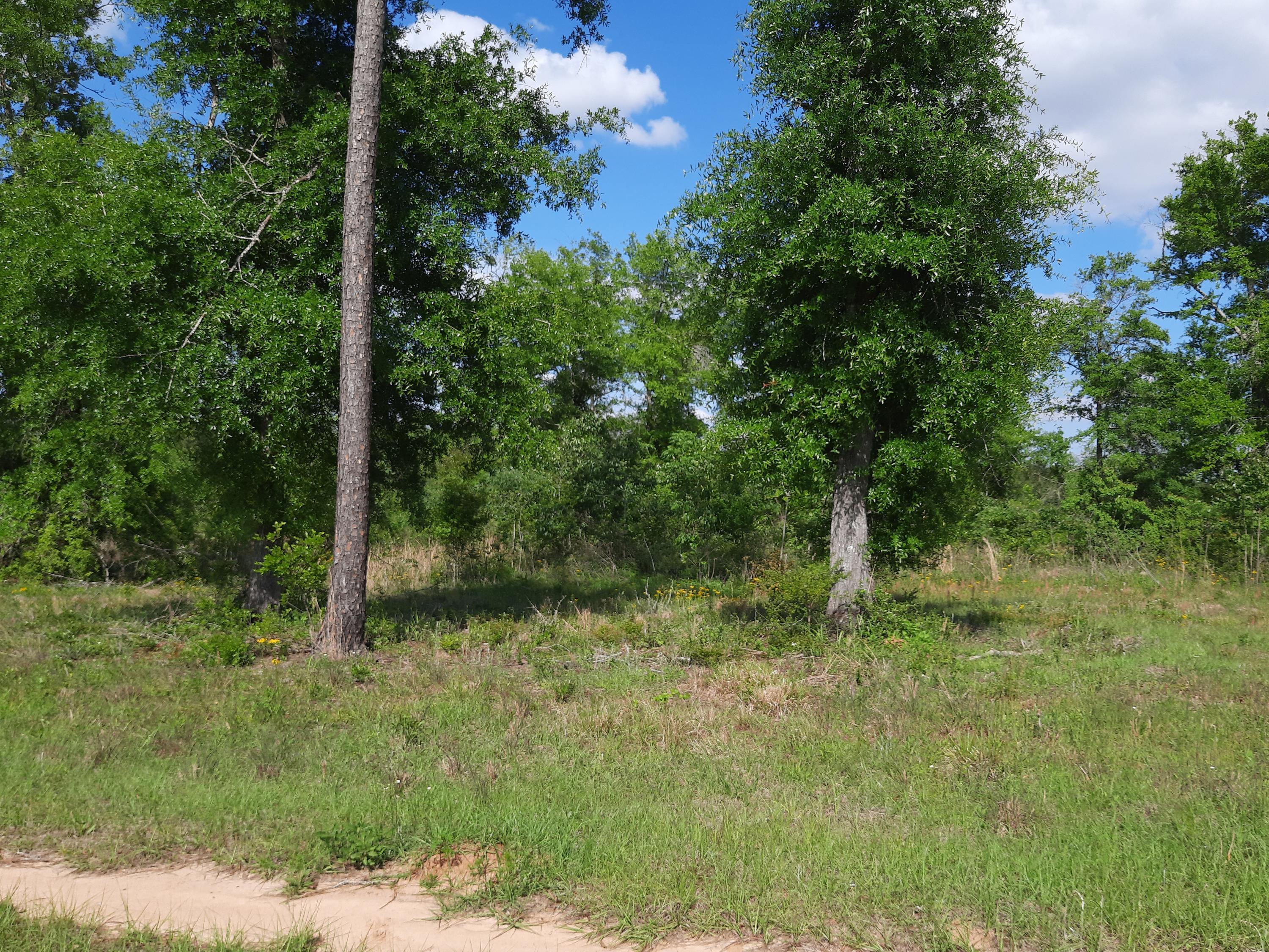 [No Recorded Subdiv] - Land