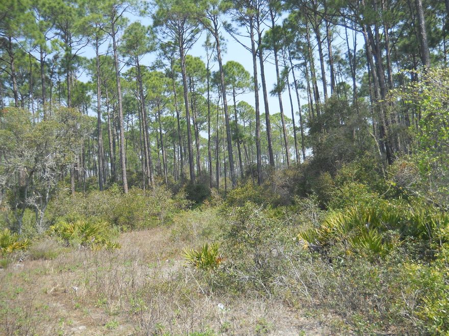 Great building lot in a quiet neighborhood close to pier park, blocks from the beach ,fishing ,shopping , enjoy the beach life style