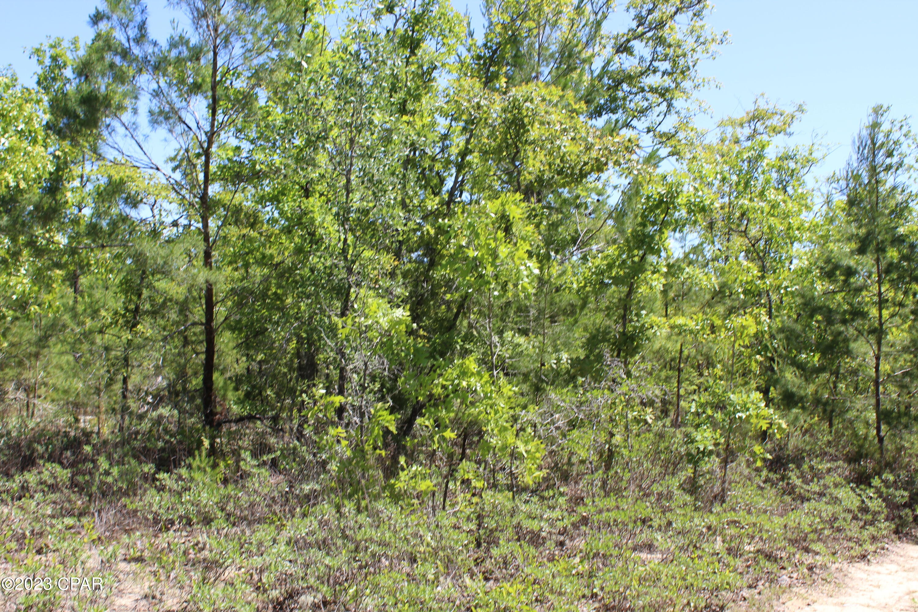 No Named Subdivision - Land