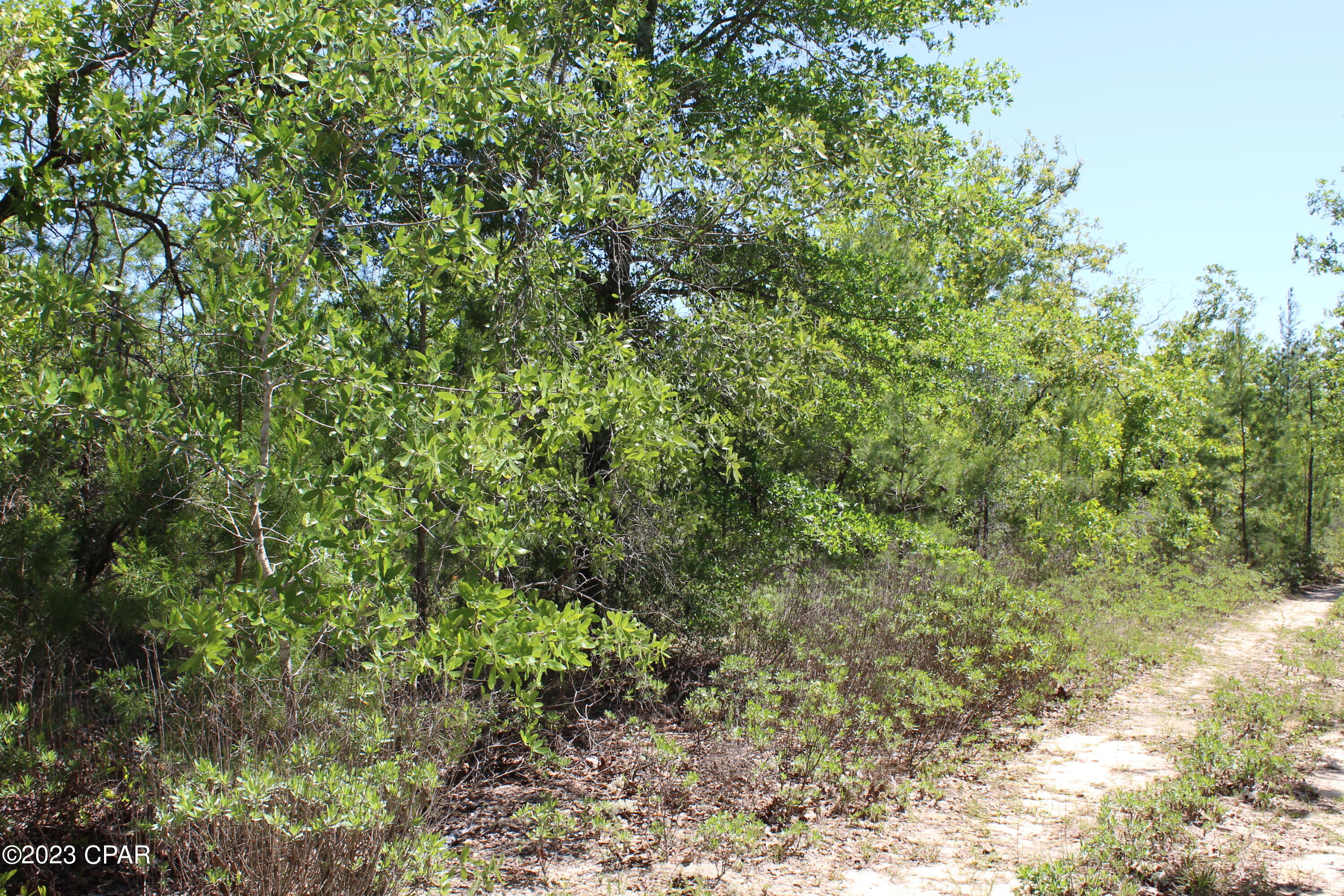 No Named Subdivision - Land