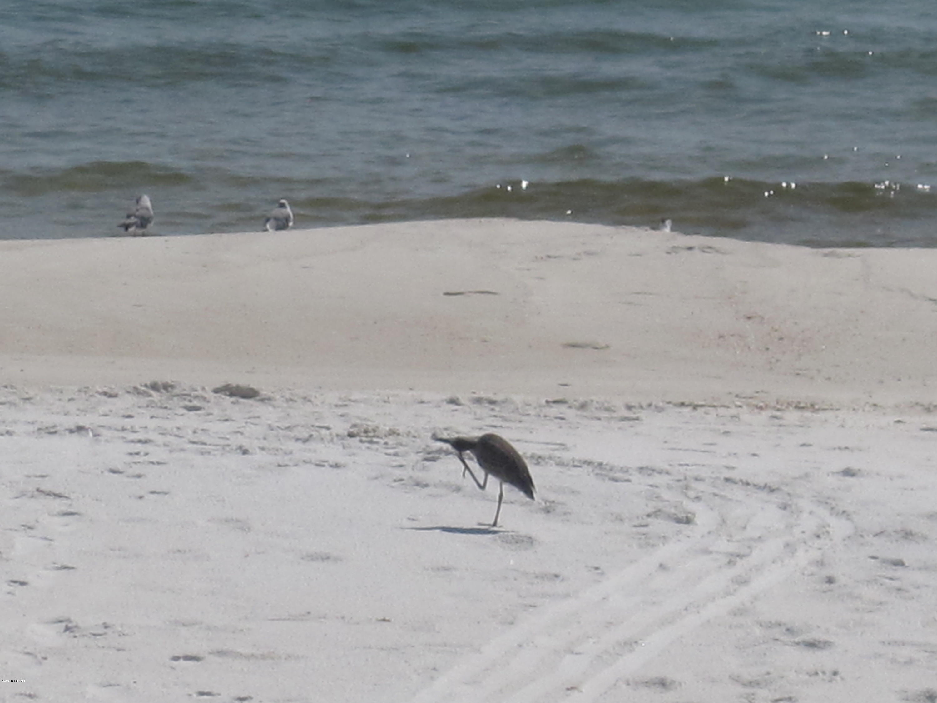 Gulf Vista - Residential