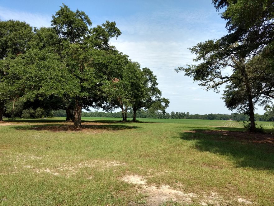 Beautiful building lot with over 200 feet of highway frontage. Lot is already cleared and ready to build on. This is one of the prettiest lots around with several large majestic oaks for shade.