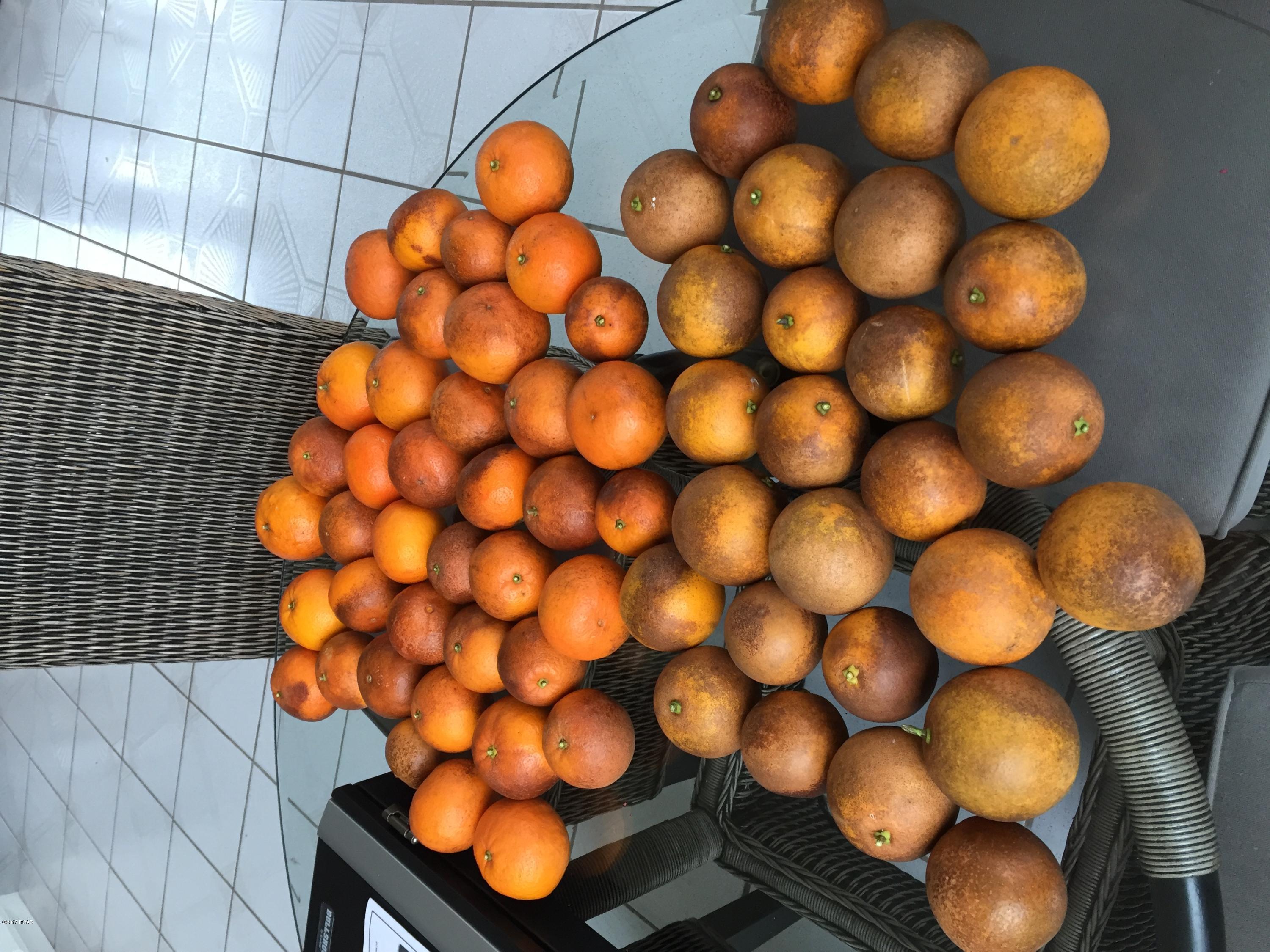 Premier Estates Ph 1 - Residential