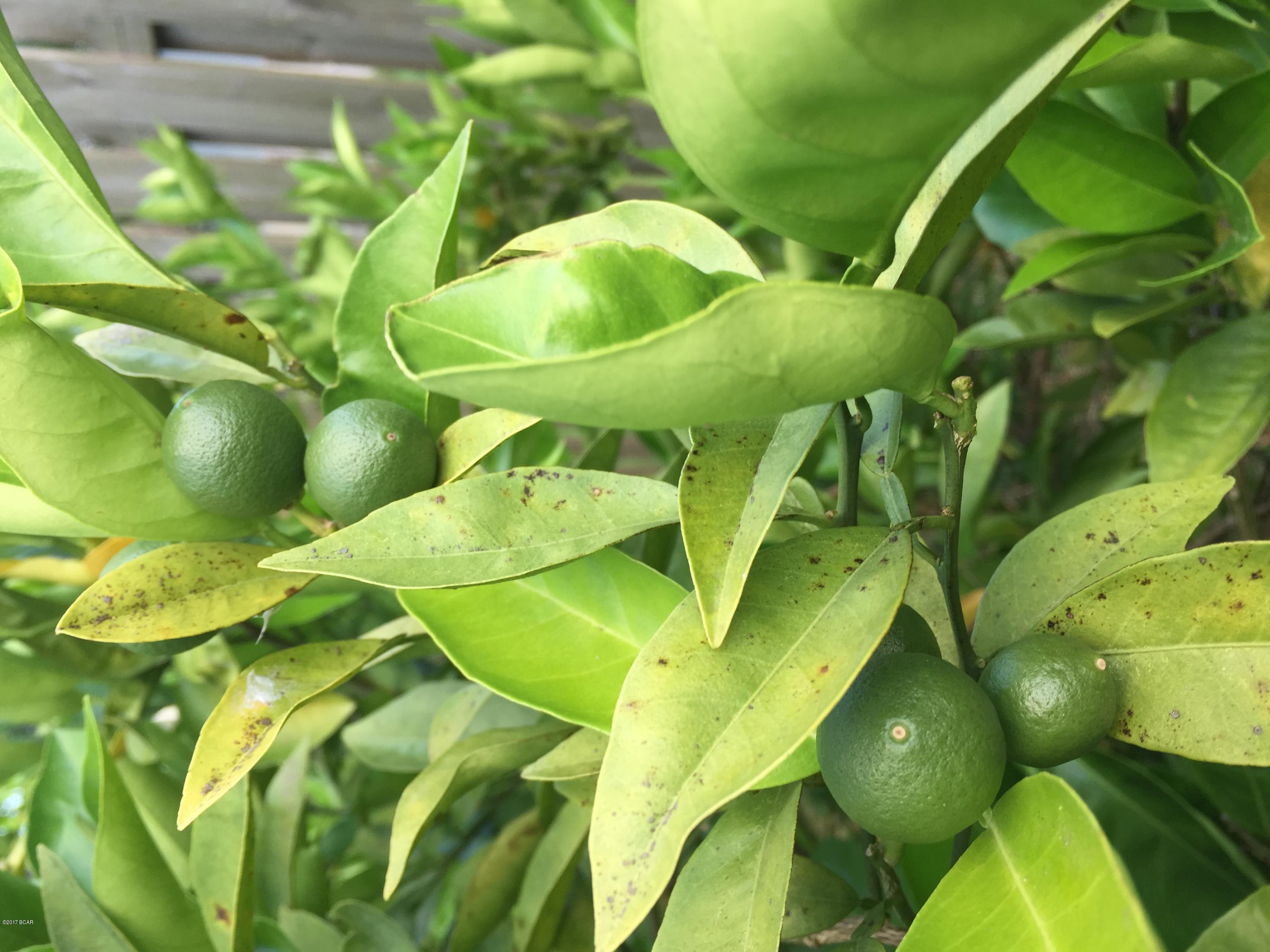 Premier Estates Ph 1 - Residential