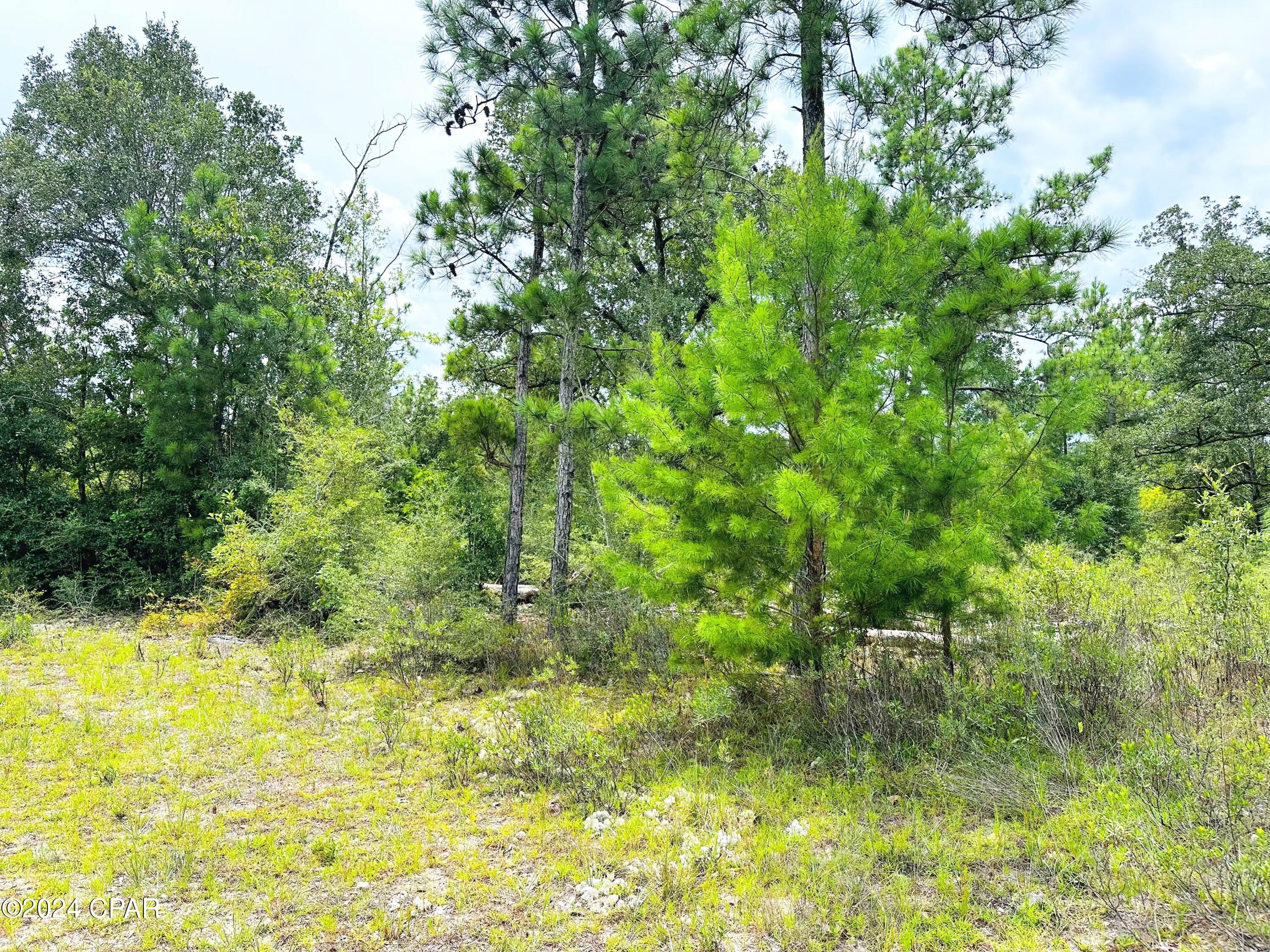 Compass Lake Hills Unit 2 - Land