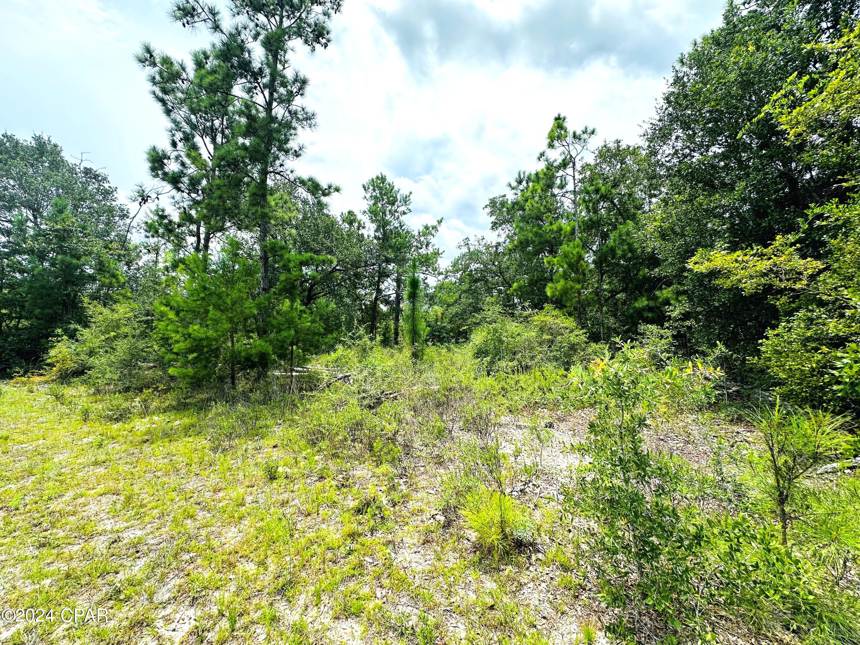 Compass Lake Hills Unit 2 - Land