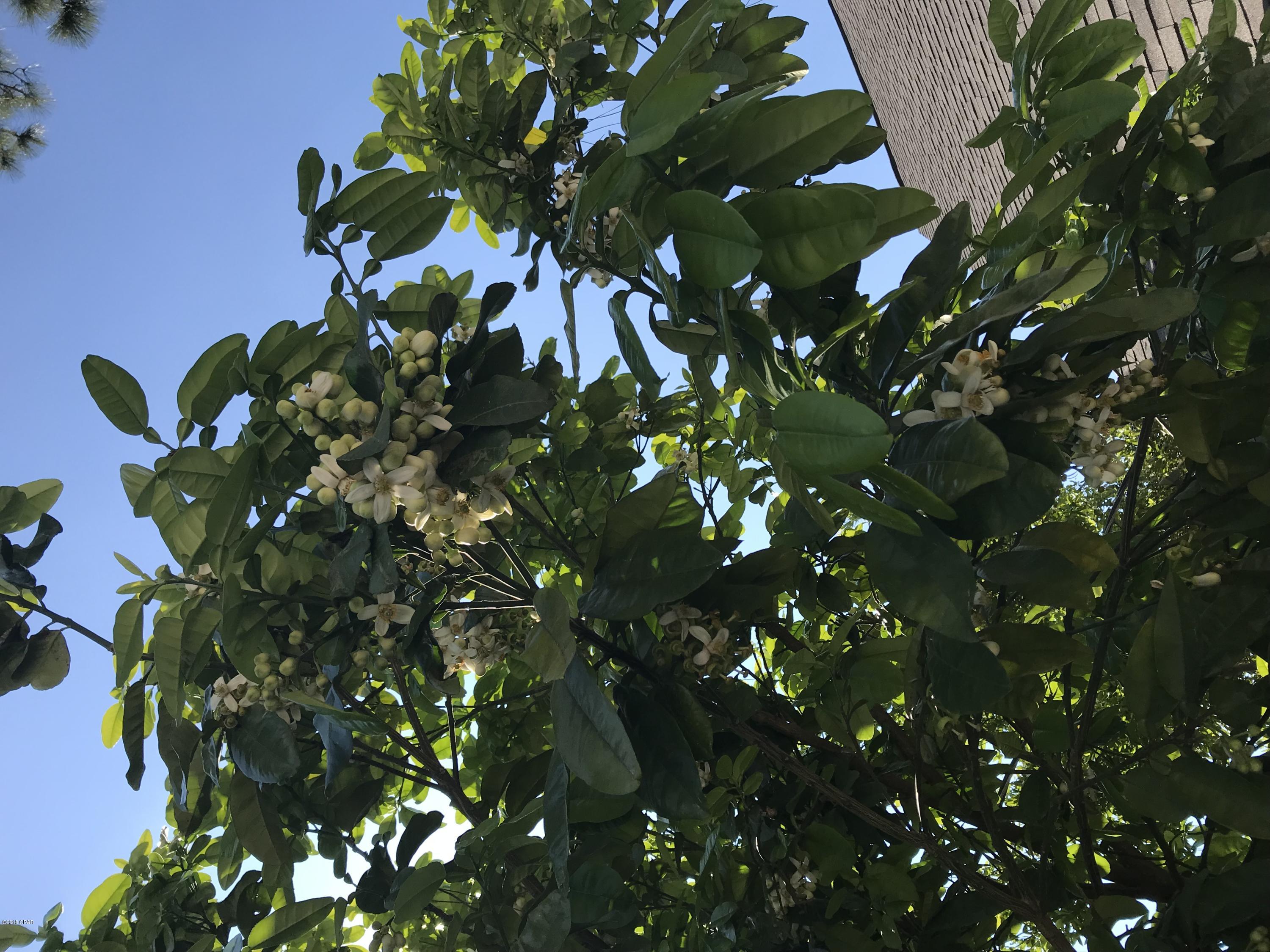 Drummond & Ware Add - Residential