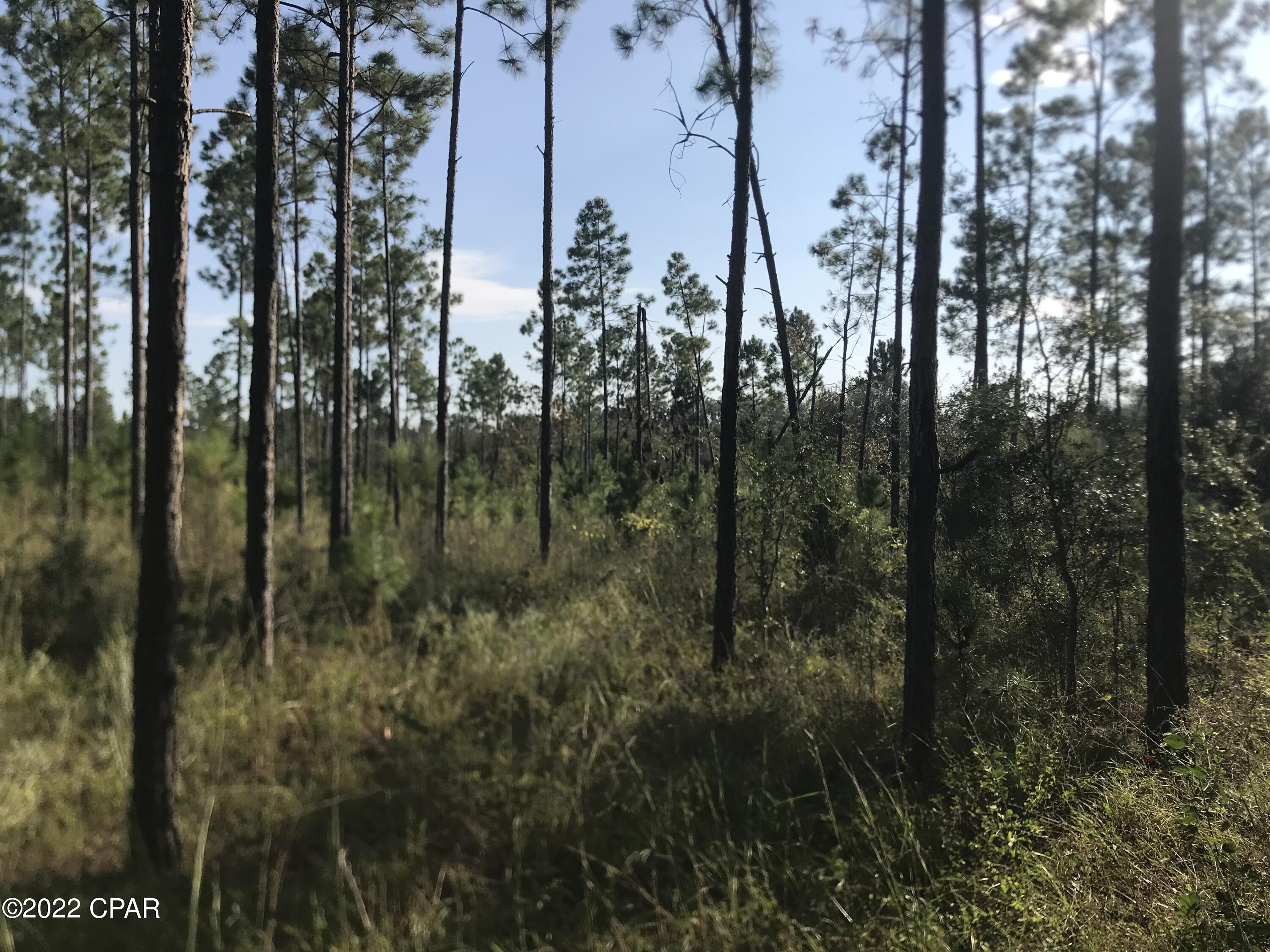 No Named Subdivision - Land