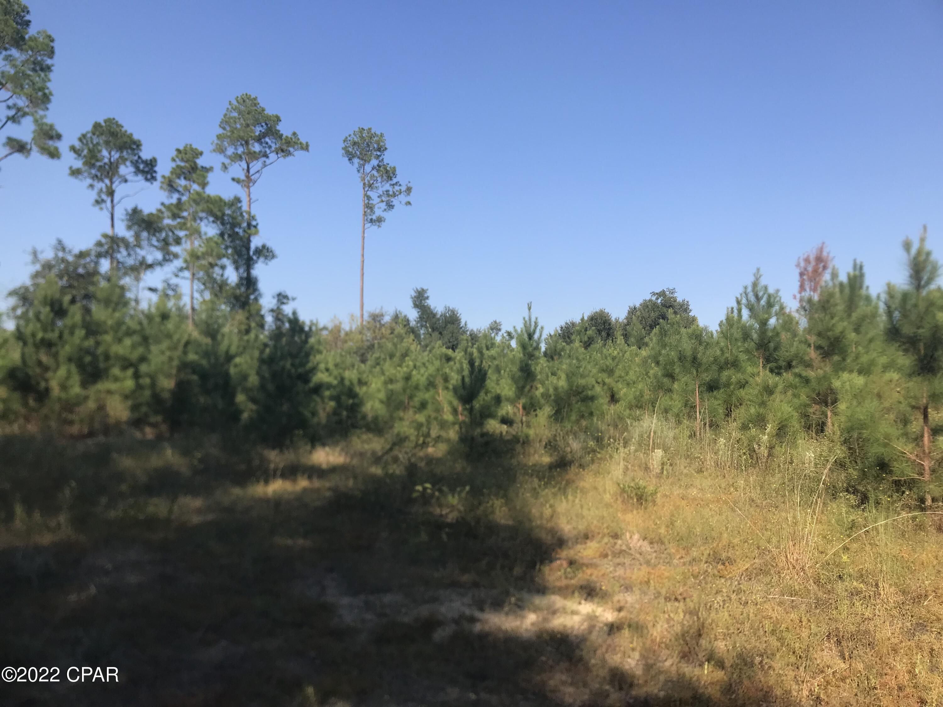 No Named Subdivision - Land