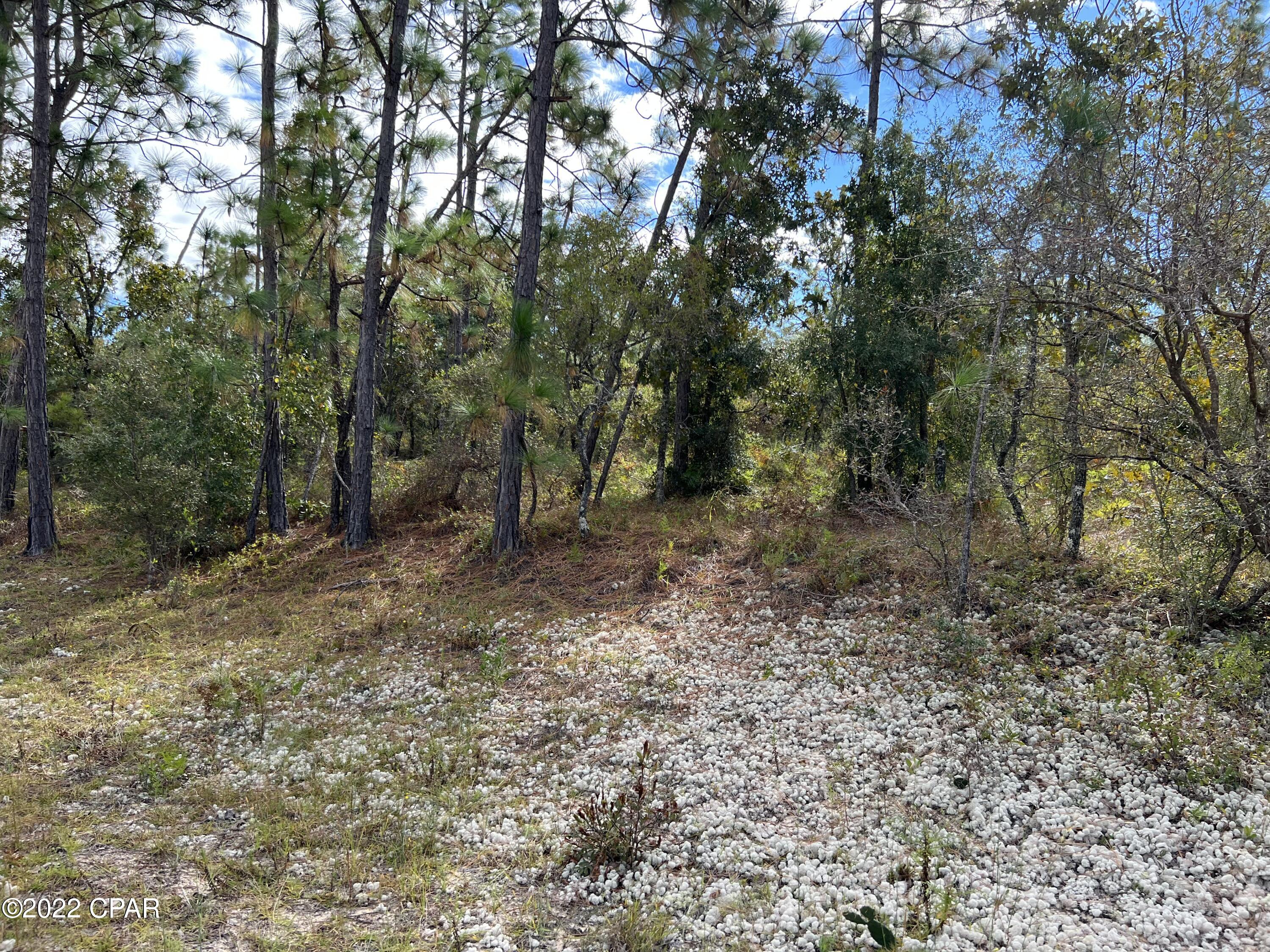 Compass Lake Hills Unit 5 - Land