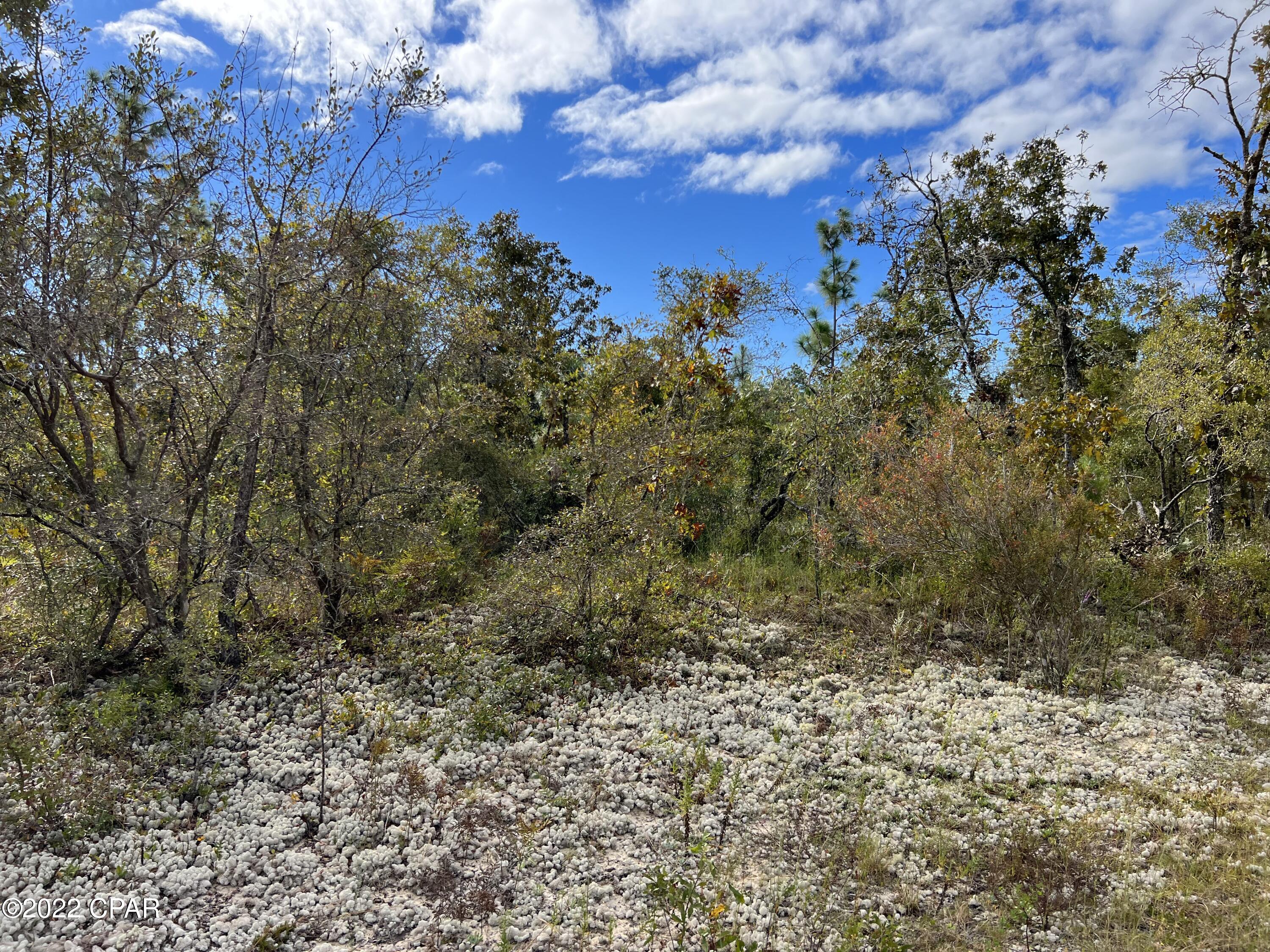 Compass Lake Hills Unit 5 - Land