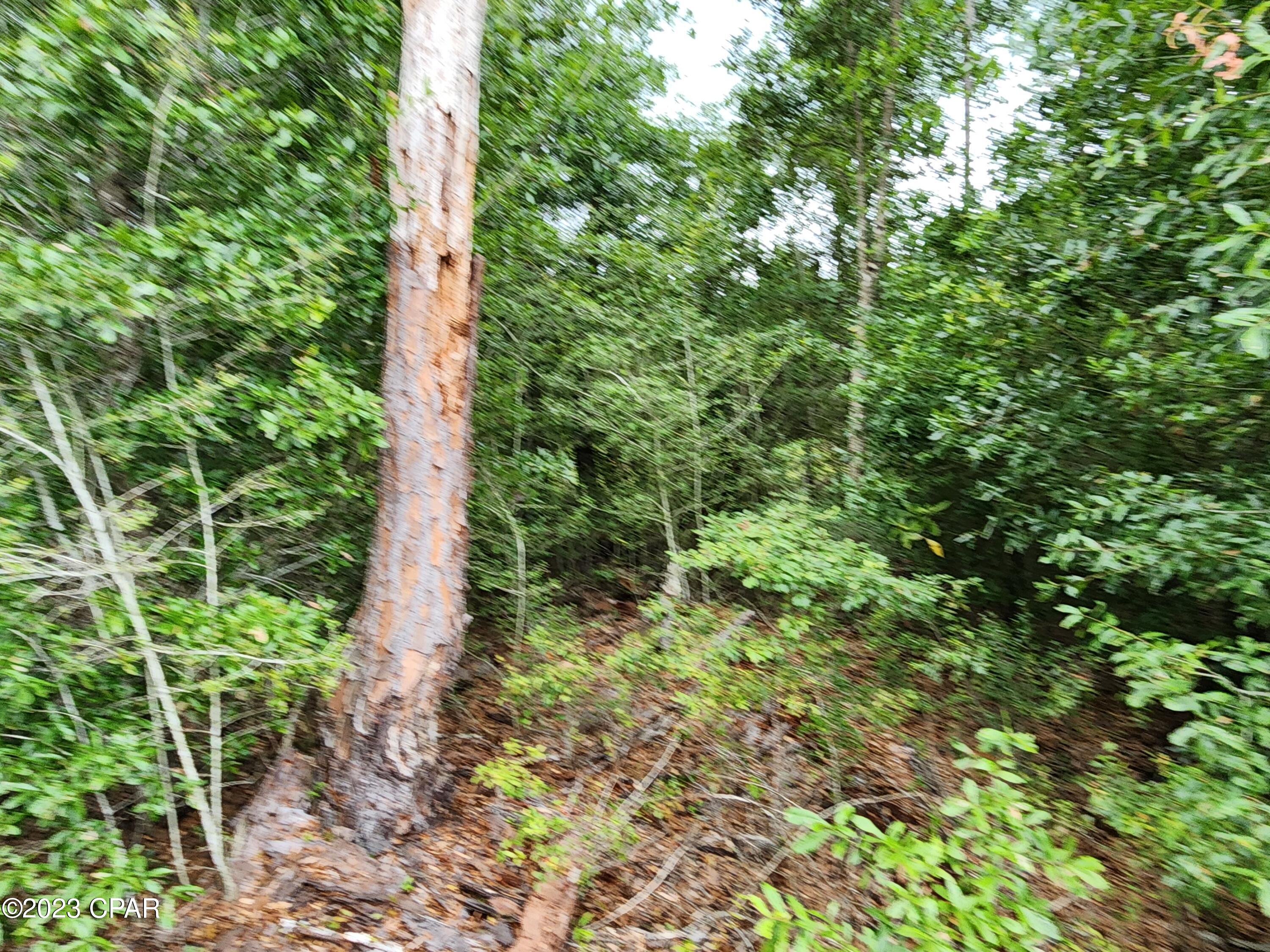 Compass Lake Hills Unit 6 - Land