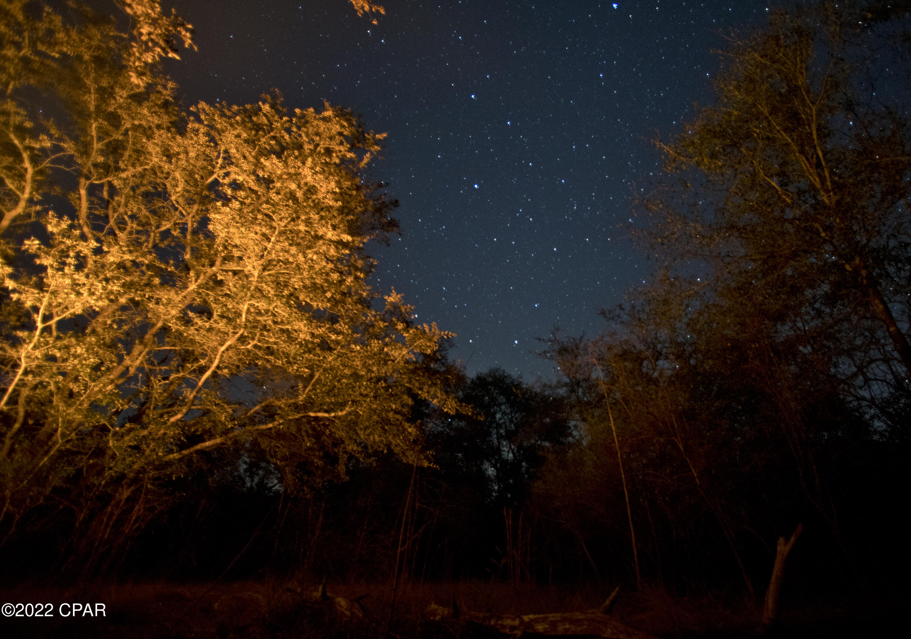 Sunny Hills Unit 2 - Residential