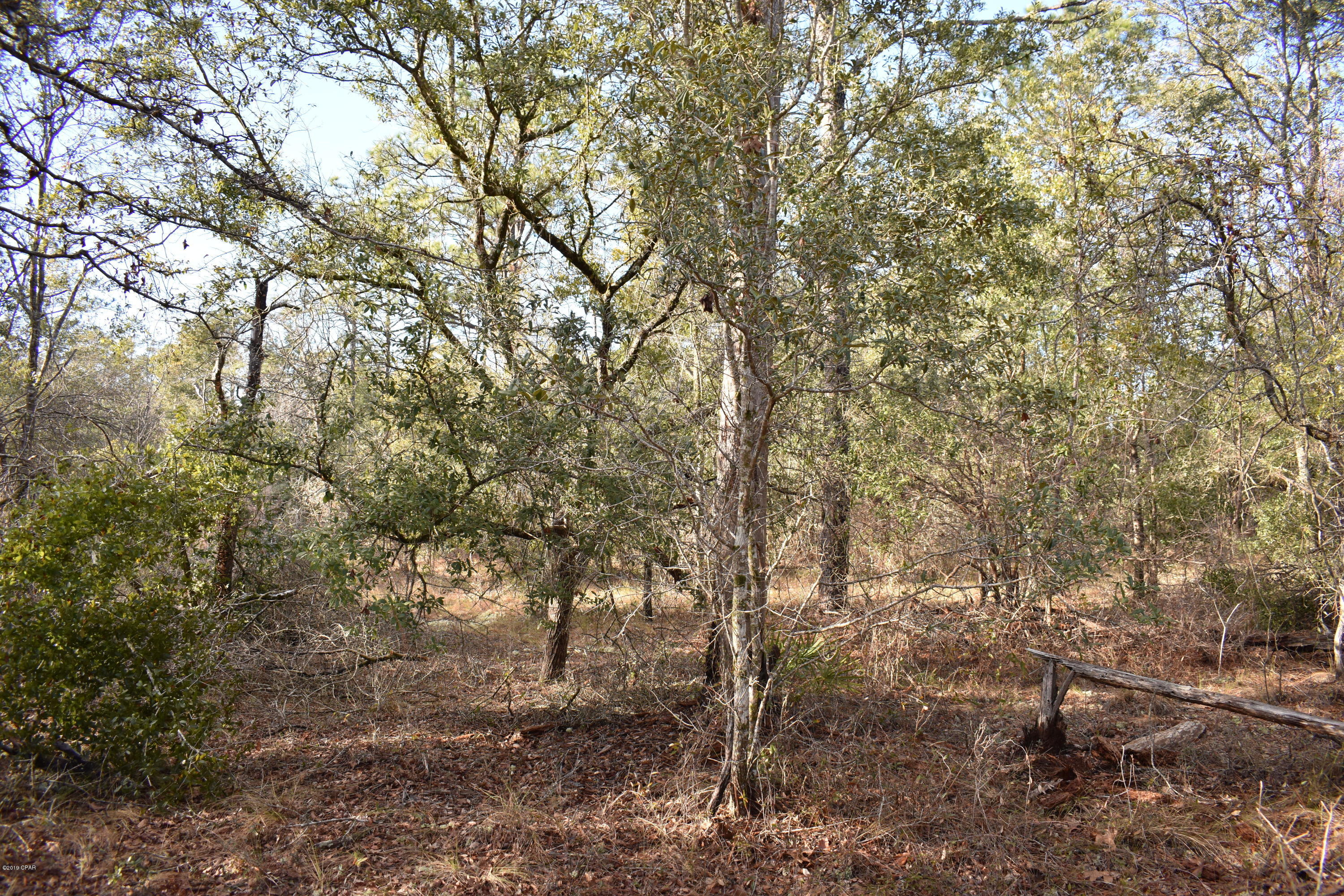 Leisure Lakes - Land