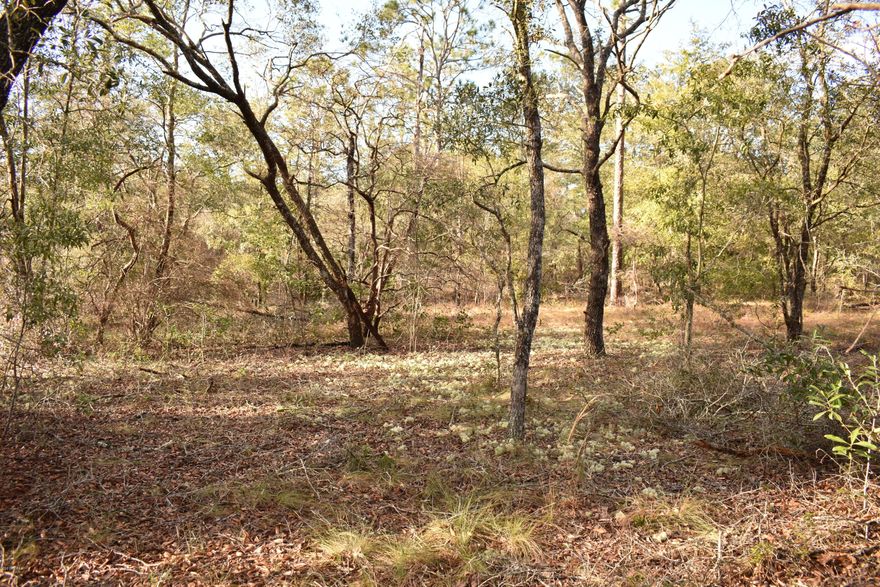 Desirable lot in a gated community would be a great place to build your new home! Property is located within minutes of the Northwest Florida International Airport, the beaches and shopping. Leisure Lakes living includes paved roads, access to spring fed lakes, tennis and basketball courts, picnic area/pavillion, horse riding trail and a community swimming pool.