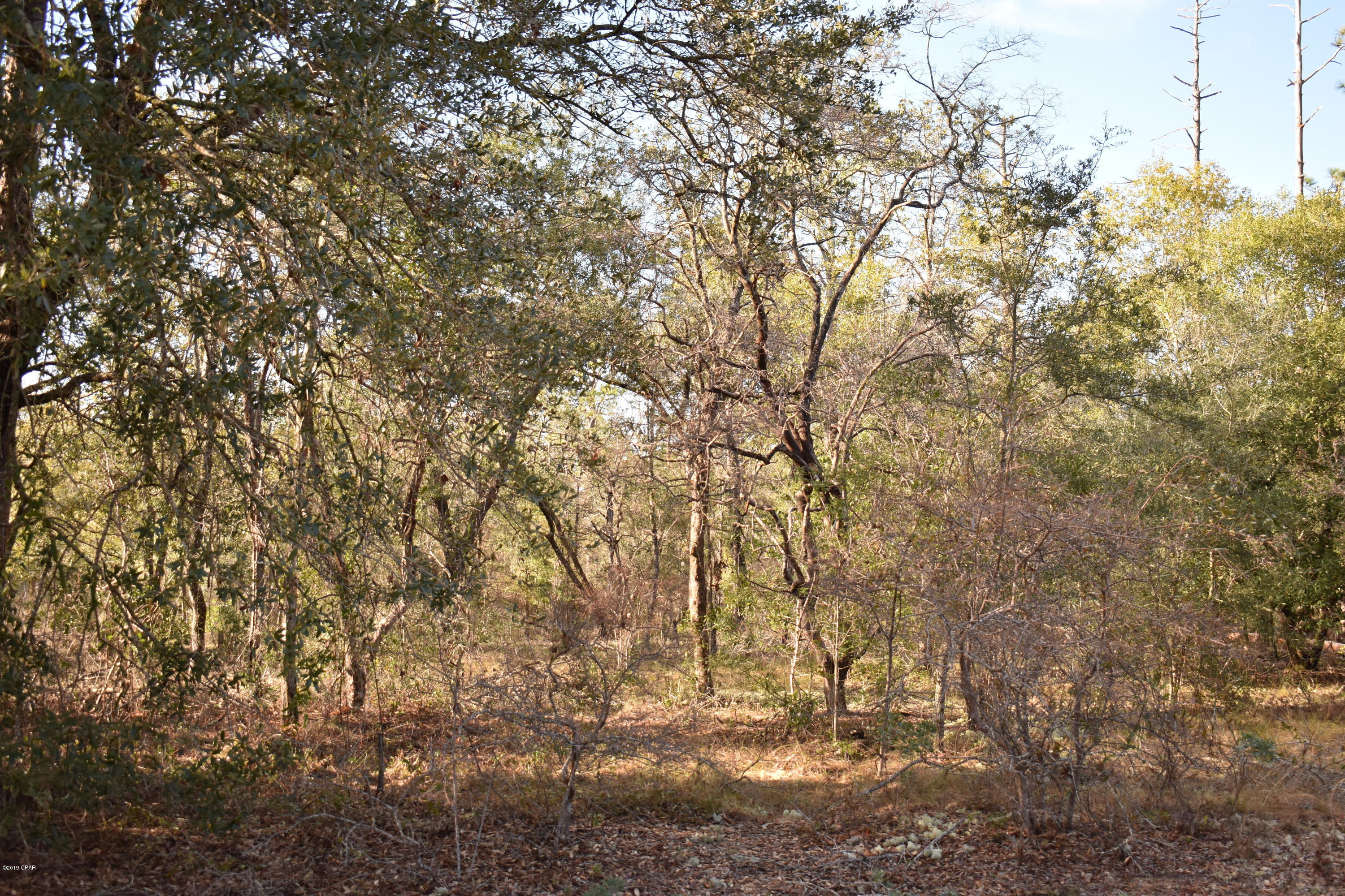 Leisure Lakes - Land