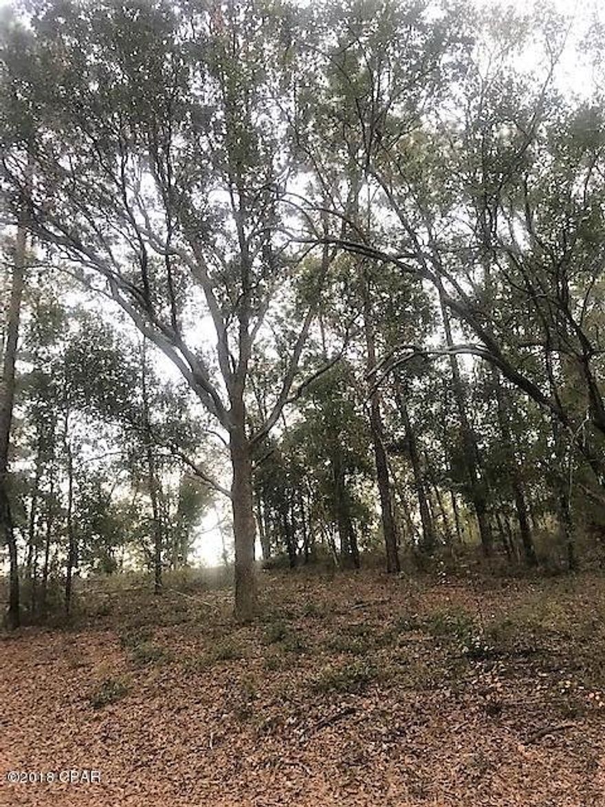 Gorgeous hilltop parcel in a gated community provides a wonderful place to build your dream home.  This beautiful property features beautiful hardwood trees with a limited water view of Lake Suzanne which is directly across the paved road.   Located in the southern portion of Washington County and within minutes of the Northwest Florida International Airport, beaches and shopping!!!!