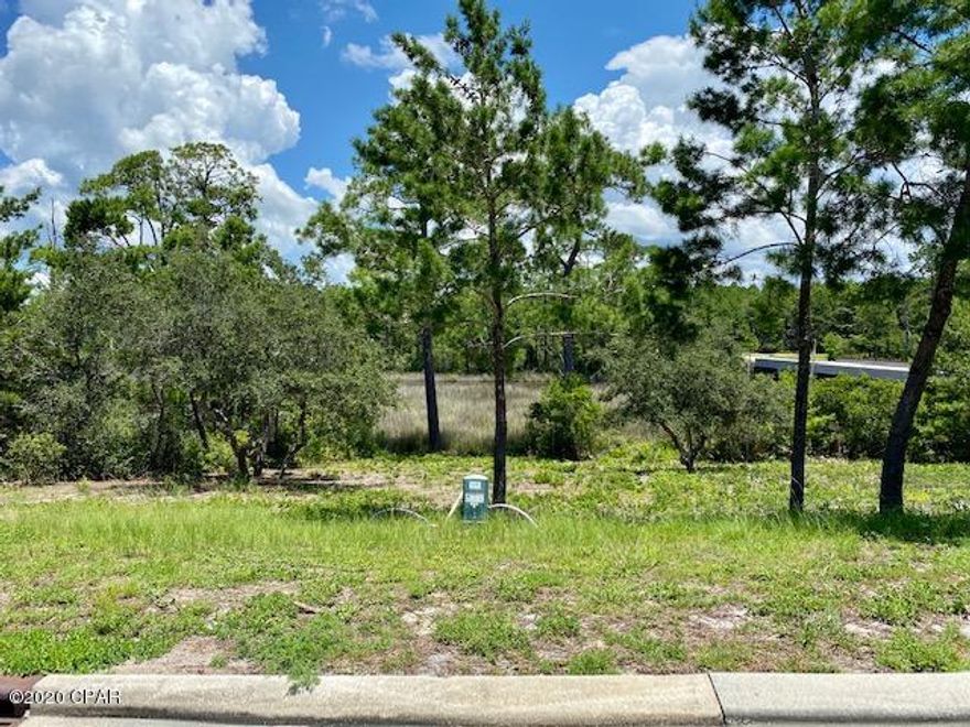 One of the last remaining LAKE FRONT LOTS ON LAKE POWELL is priced competitively to sell! Create your own incomparable, dream waterfront home. Unusual topography of this lot allows for a basement leading to your own private fishing spot and lakefront experience.  Turtle Cove residents also enjoy community amenities including spacious clubhouse with a grand pool, hot tub, work out facilities, basketball/tennis courts and fishing dock. Rosemary Beach, Pier Park and 30-A are all nearby.  All dimensions and data are deemed reliable but are subject to Buyer verification.