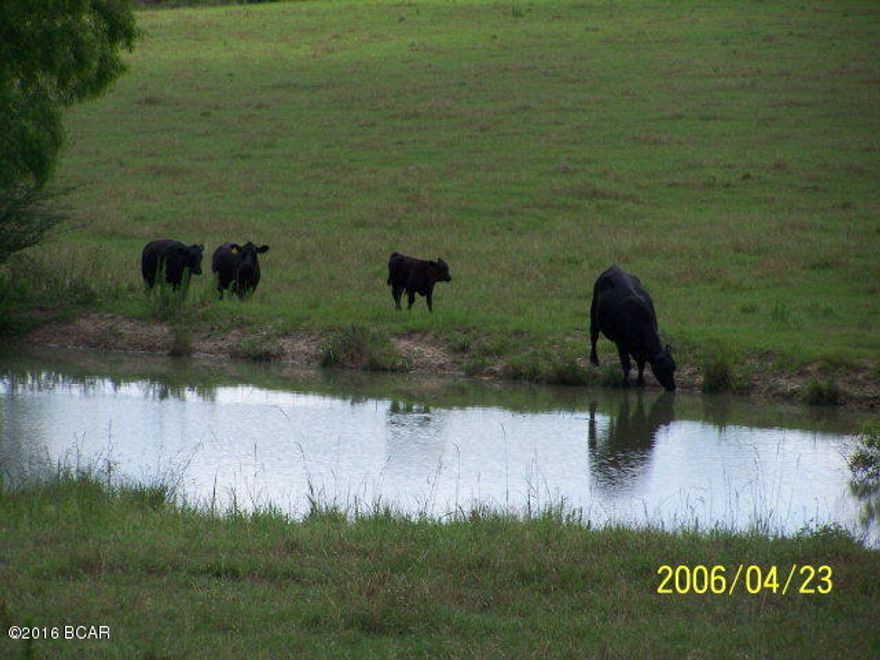 Beautiful Brick Home and 100 Acres of Quality Pasture and Woodlands. This is a Working Cattle Ranch, with a nice, newer brick home in Northern Holmes County, FL. The owner is currently running approximately 35 head of beef cattle on this fenced and cross fenced pastureland, and it could possibly handle twice that amount considering the soils of this area. A small fish pond graces the long entrance roadway, and the home sits on a rolling hillside, where you can view the entire acreage from the front porch. Located just south of the Alabama State Line, and the Pea River area; this is a prime hunting and fishing area.