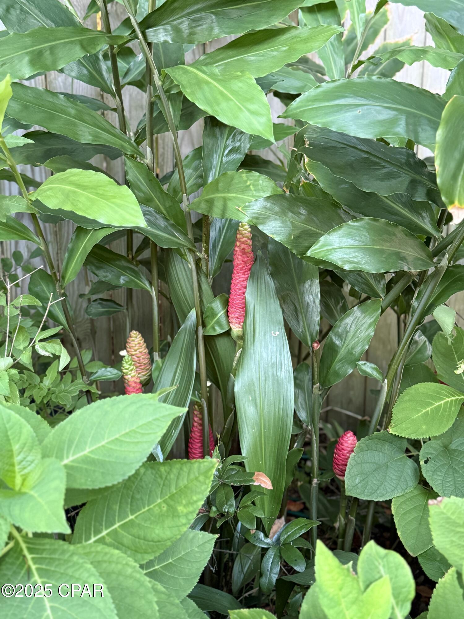 Laguna Beach Estates 1st Add - Residential