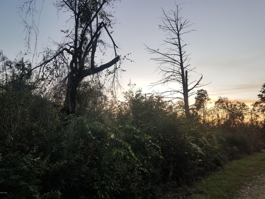 *No deed restrictions* Nice corner lot. Priced to sell.