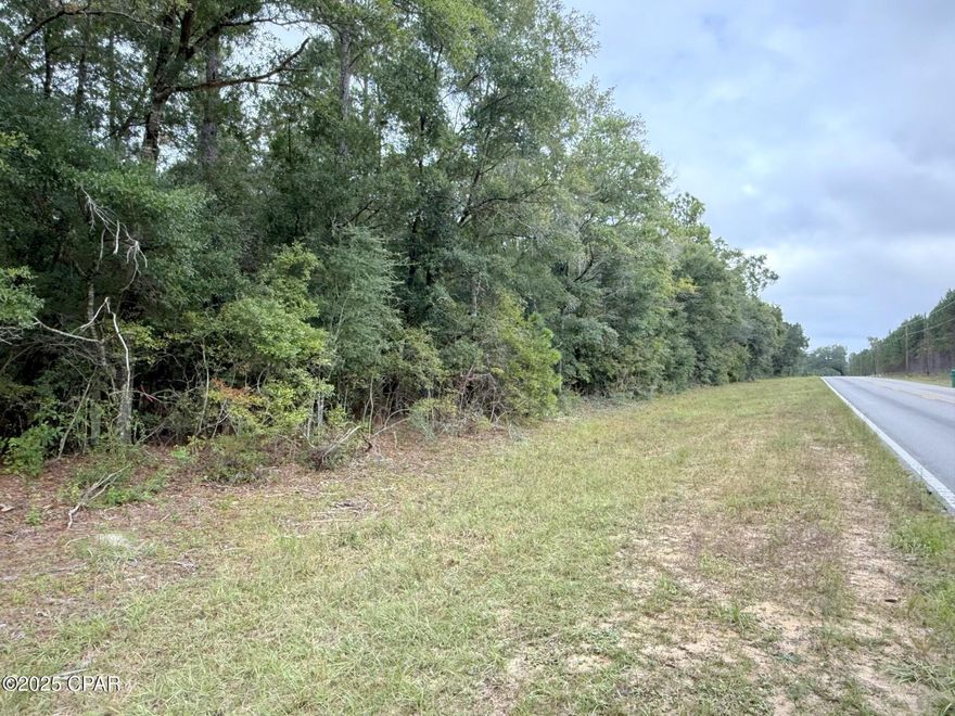 Nestled along a paved road in the Sunny Hills community, this wooded lot provides the ideal backdrop for your future dream home! Enjoy community amenities such as an 18-hole golf course, the picturesque Boat Lake, and a variety of nearby fishing opportunities. Just 43 miles from Panama City Beach, famous for its sugar-white sand and emerald waters, you'll experience the tranquility of small-town living with easy access to one of Florida's top coastal destinations.