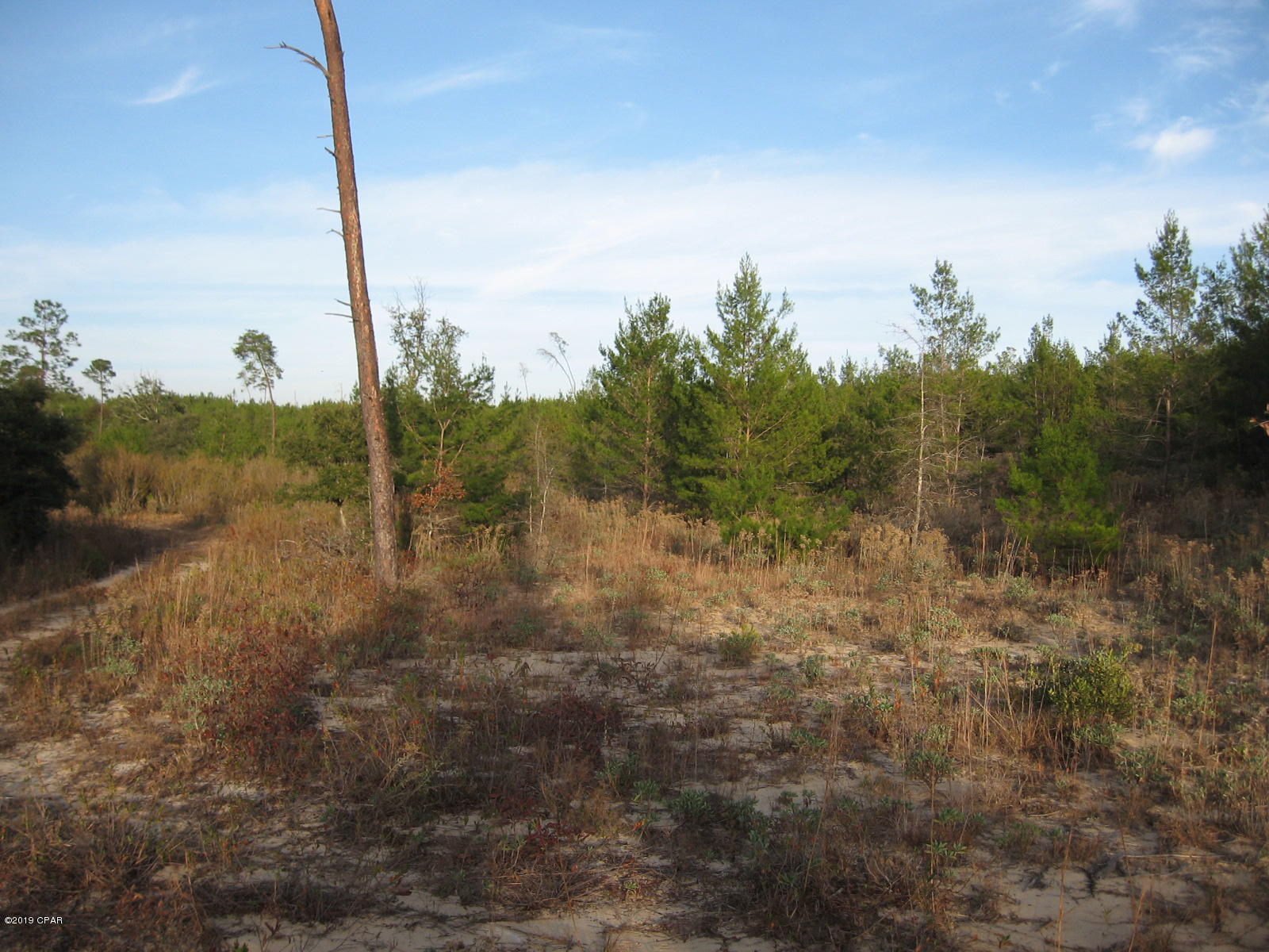 No Named Subdivision - Land