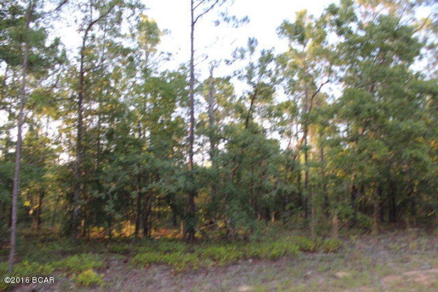This is a very nice residential building lot with native trees. It appears to be high and dry with good elevation. Ownership of this lot gives you numerous amenities to Compass Lake in the Hills. There are two lakes you have access to,. clubhouse facilities, RV parking, golf driving range, swimming pool, horse back riding and much more! It is only a short drive into Panama City on the coast where there are some of the world's most beautiful beaches.
