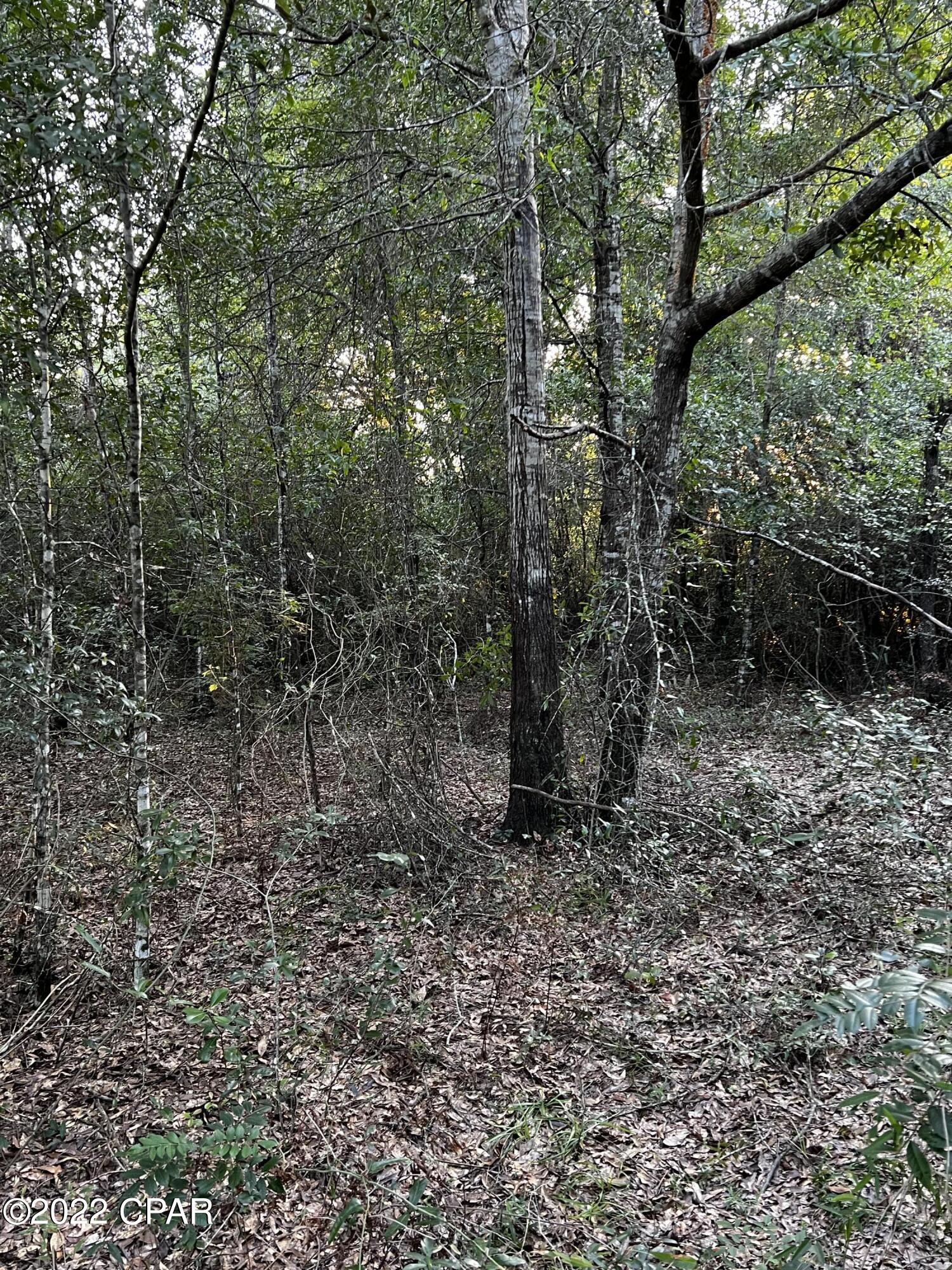 [No Recorded Subdiv] - Land