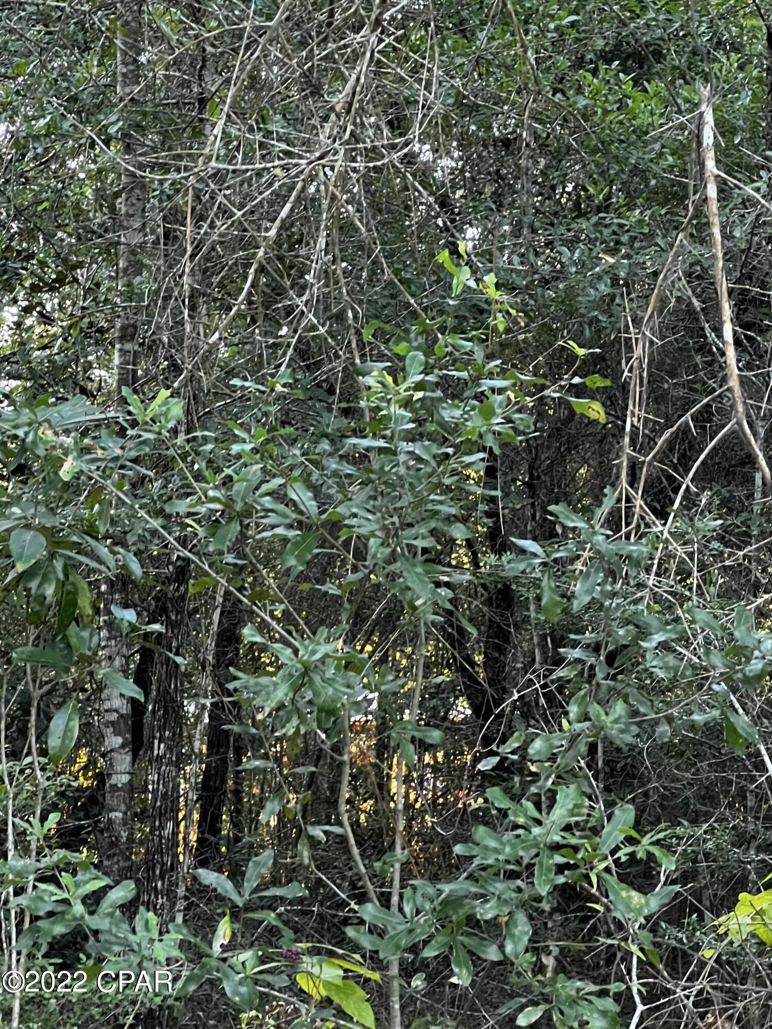 [No Recorded Subdiv] - Land