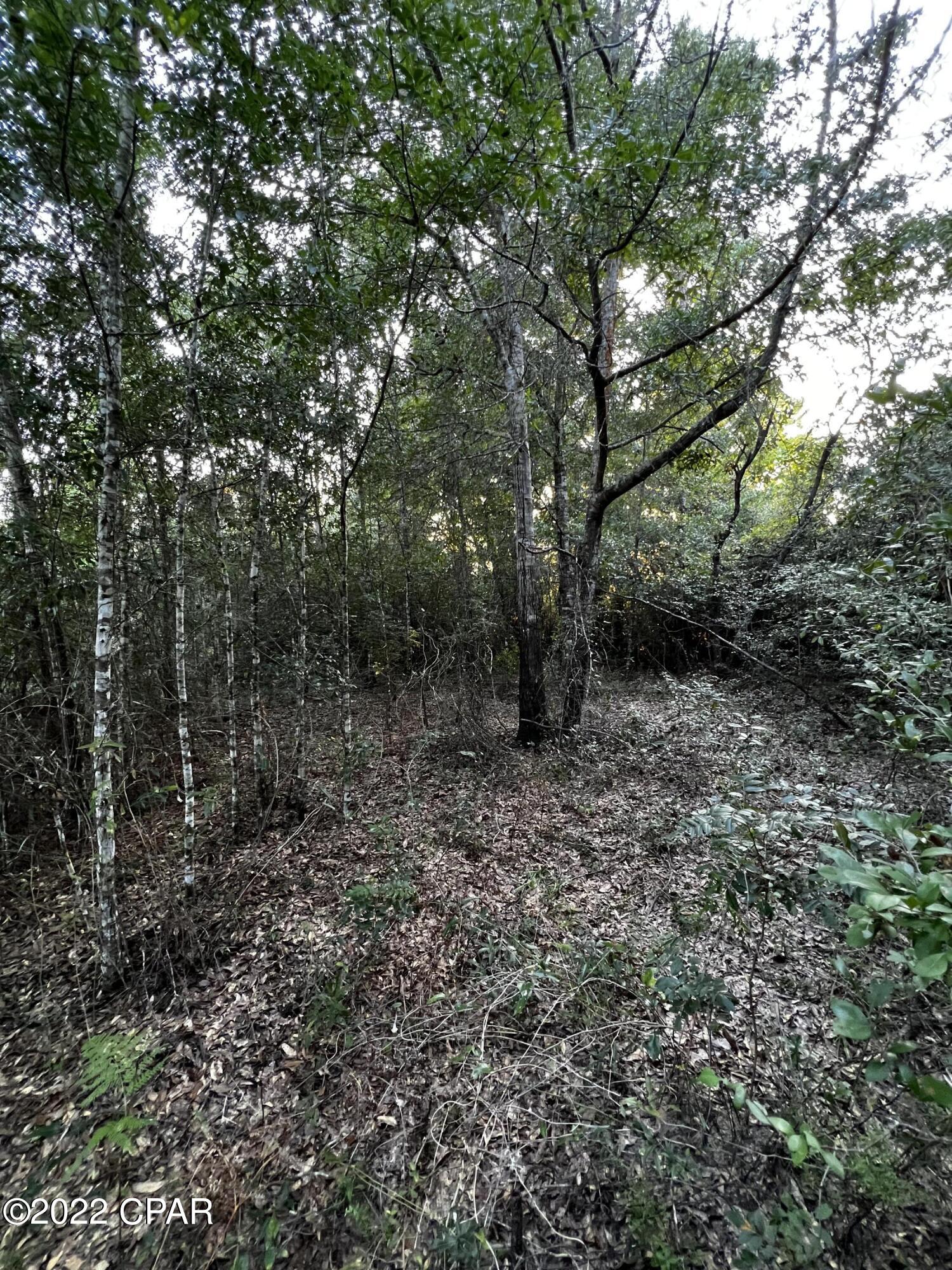 [No Recorded Subdiv] - Land