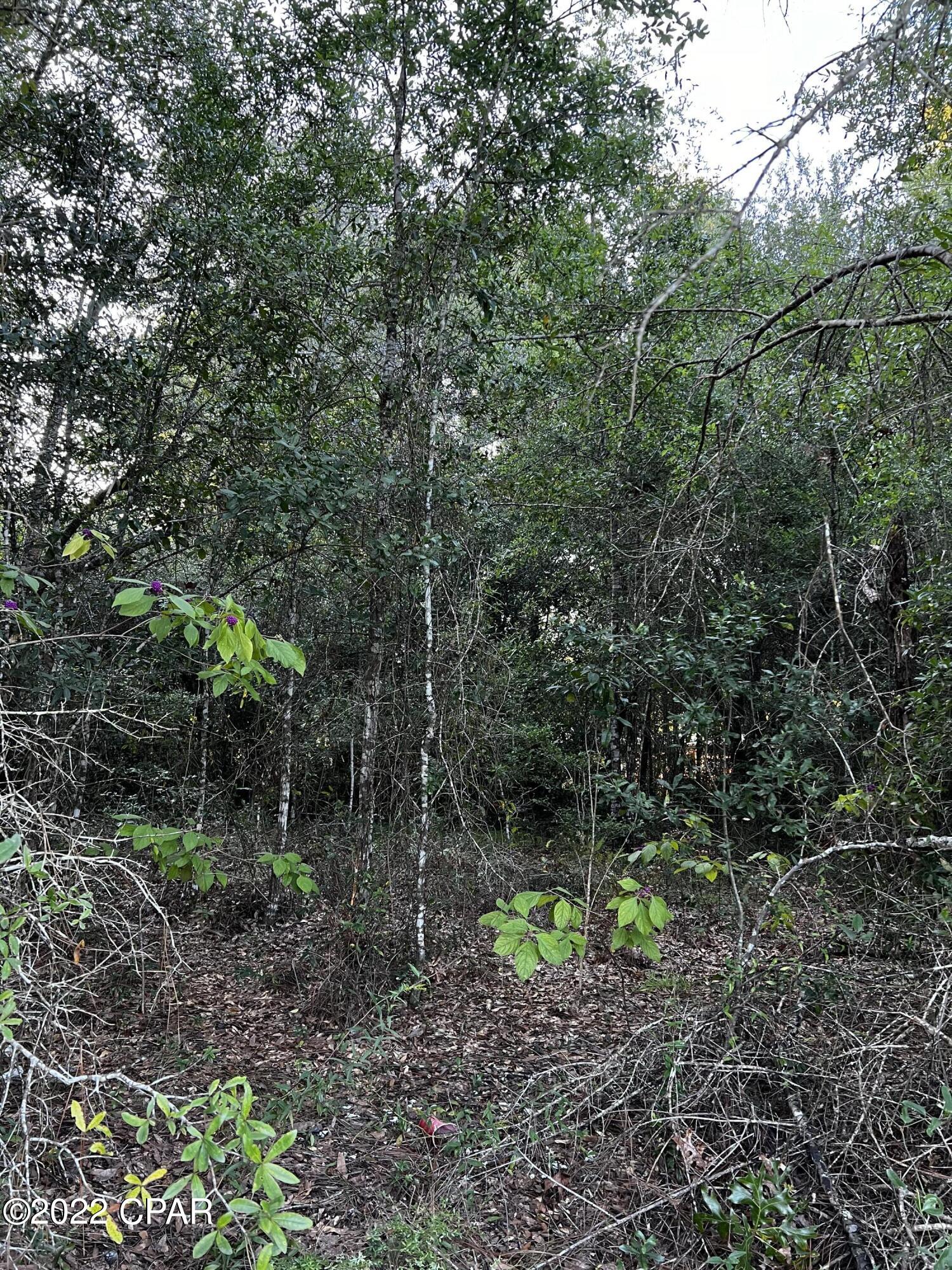 [No Recorded Subdiv] - Land