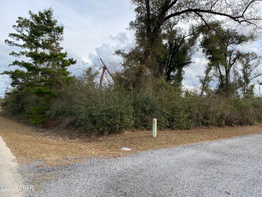 Nice, level building lot in Indian Springs subdivision in Marianna.  This community is popular for it's large lot sizes and established trees throughout the neighborhood. Woodgate Way ends in a cul-de-sac which limits any additional traffic. This community has no HOA, but does have deed restrictions to protect the owners.  The restrictions allow for a single family home to be built of at least 1400 sf (for single level home) or at least 1800 sf (for 2 story home). Public utilities are being installed currently and hookup fee is minimal. Full restrictions available upon request.