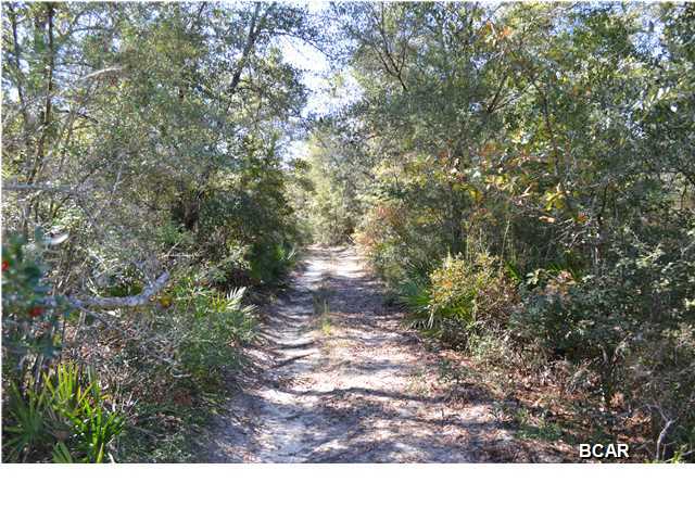 Cedar Creek Chase - Land
