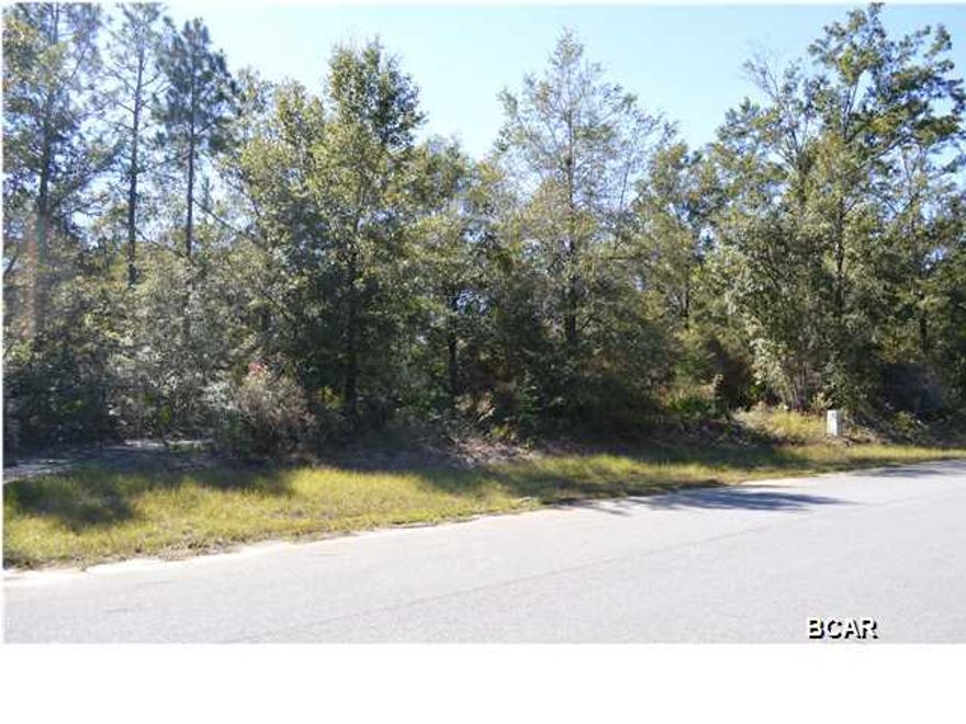 Nice Deerpoint Lake subdivision. High and dry lot. Survey and perk test have been completed. The covenants on this subdivision require homes to be 80% Brick and minimum of 1,800 square feet heat & cool space. Take time to plan your new custom home in this upscale Deerpoint neighborhood.