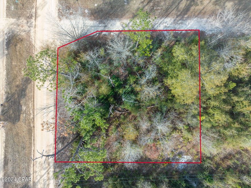 Don't miss this opportunity to own a wooded corner lot on Spartan Ave, located in a rural and serene area. This lot has plenty of trees and privacy and is suitable for building a home or bringing in a mobile home. Electricity is available nearby. Enjoy the natural beauty and tranquility of this location. This lot is priced to sell, so don't wait and make an offer today!
