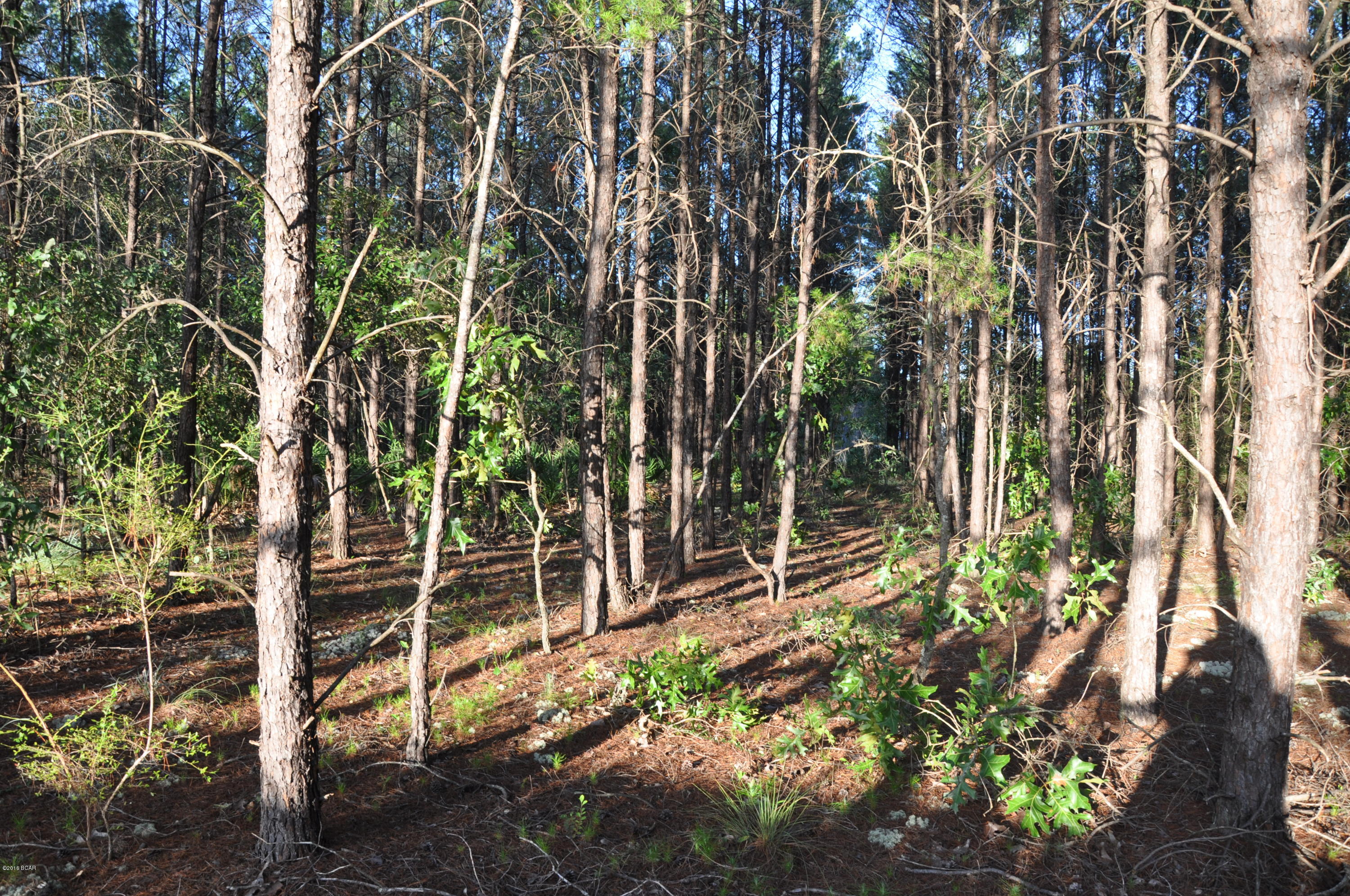 Oakcrest - Residential