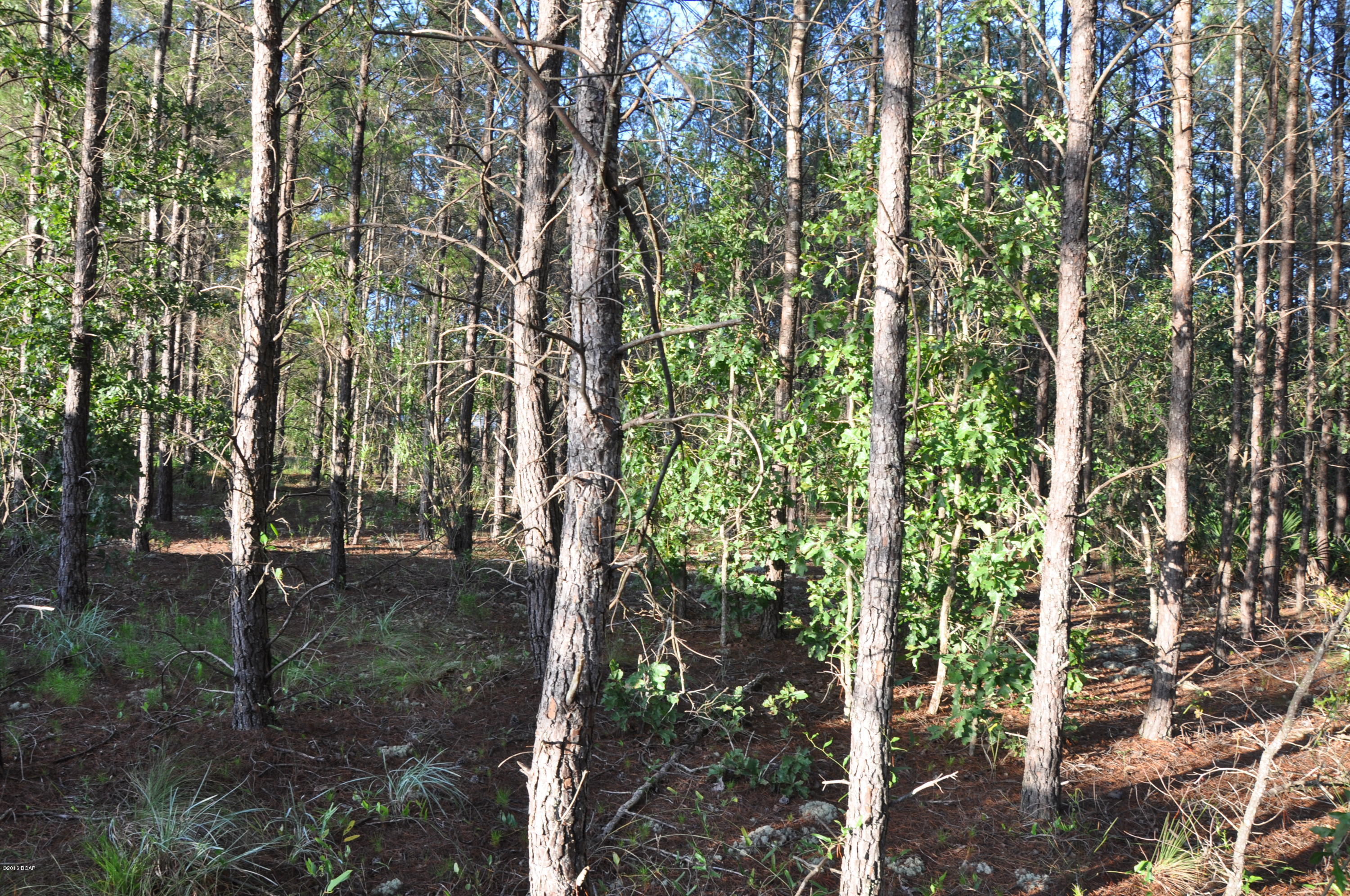 Oakcrest - Residential