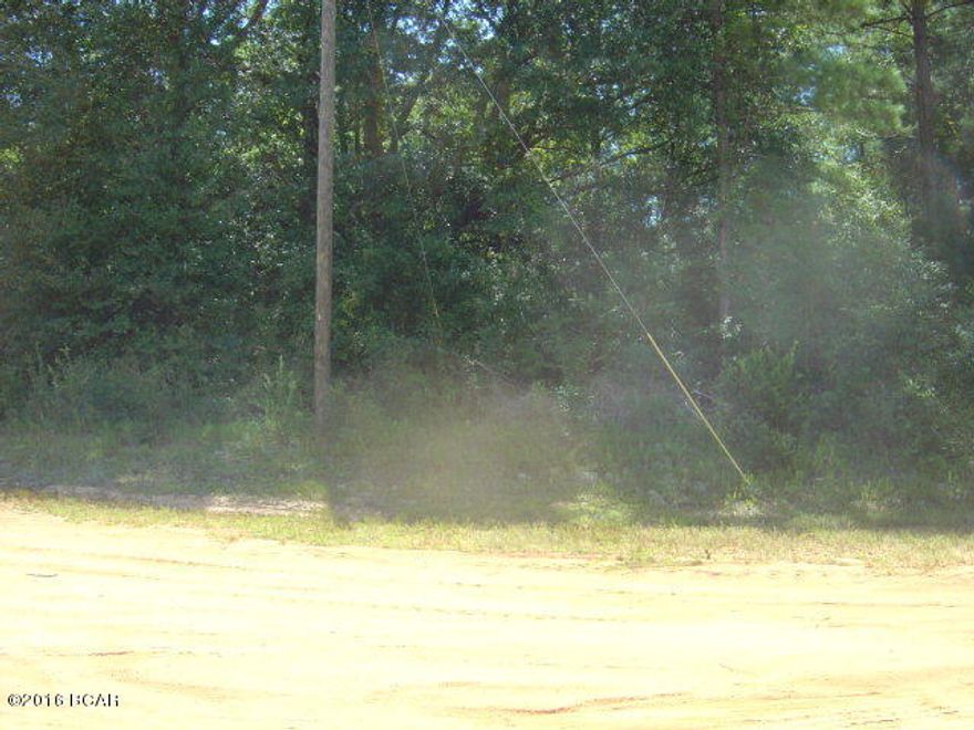 Large lot in very good area for access to lodge and hwy 167. All the amenities of CLH including pool, lakes, beach area and much more. Check out for this great buy!