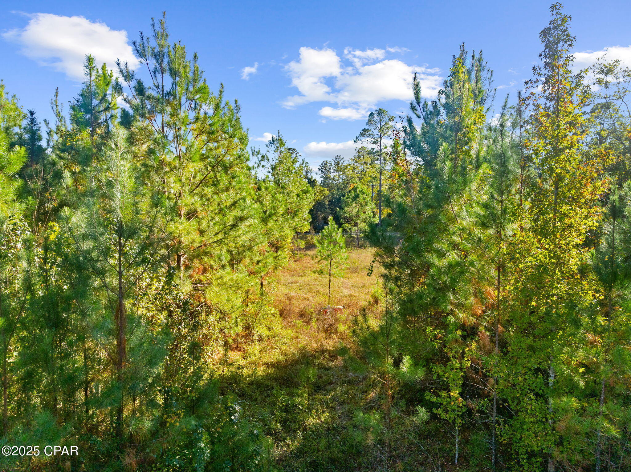 Red Bull Island - Land