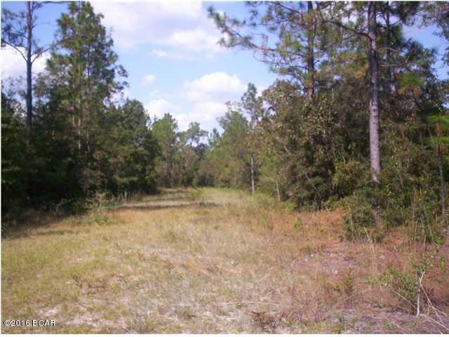 Whispering Oaks - Land