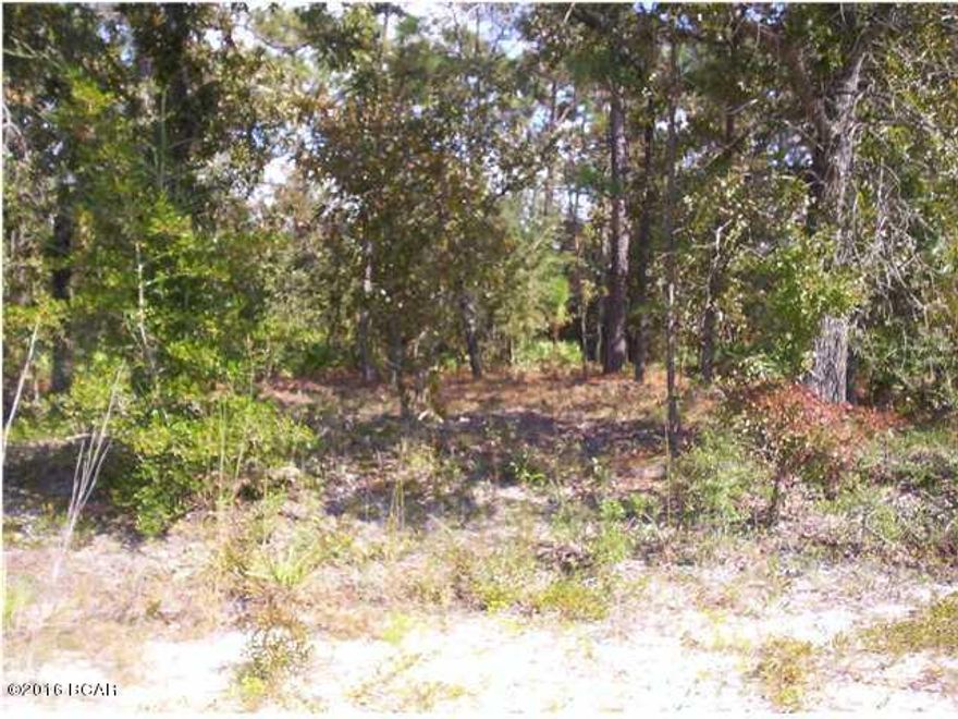 Wooded lot that appears to be high & dry. Minutes drive to Hwy 20 and Close to Bear Creek. 30 minute drive or possibly less to Panama City to Beaches and to NW Florida Beaches International Airport.