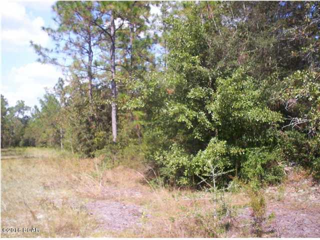 Whispering Oaks - Land