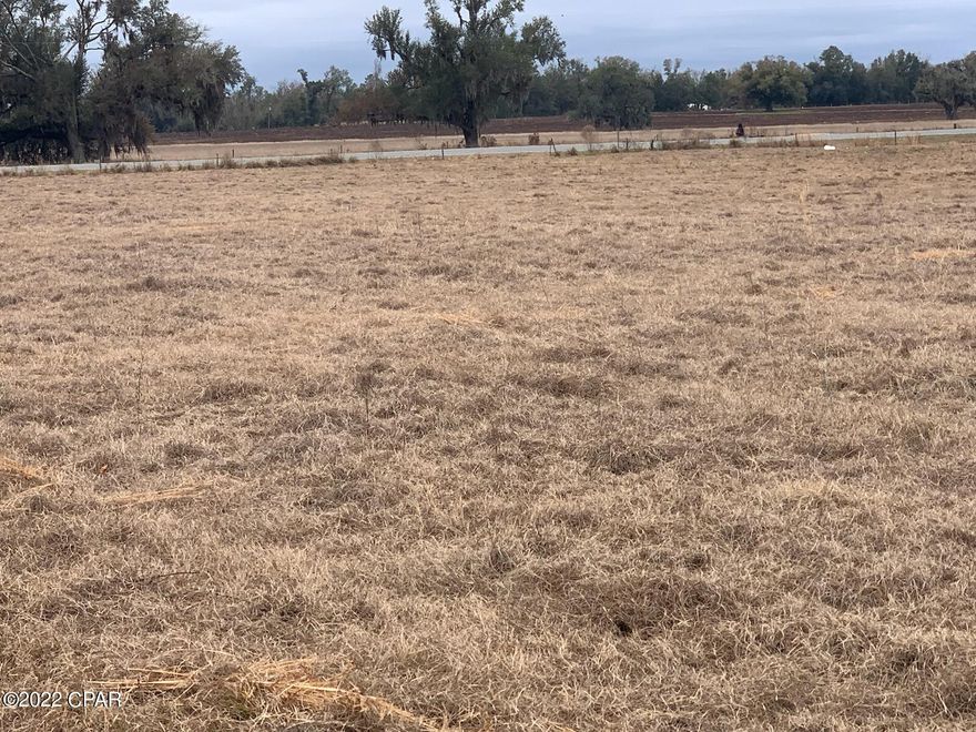 Large parcel of land located on a paved road in the northeast part of Jackson County there is a large sand pond and a cypress pond on this parcel. It would be ideal for animals or to build on. Or a mini farm Just a Short drive to lake Seminole and three rivers state park.